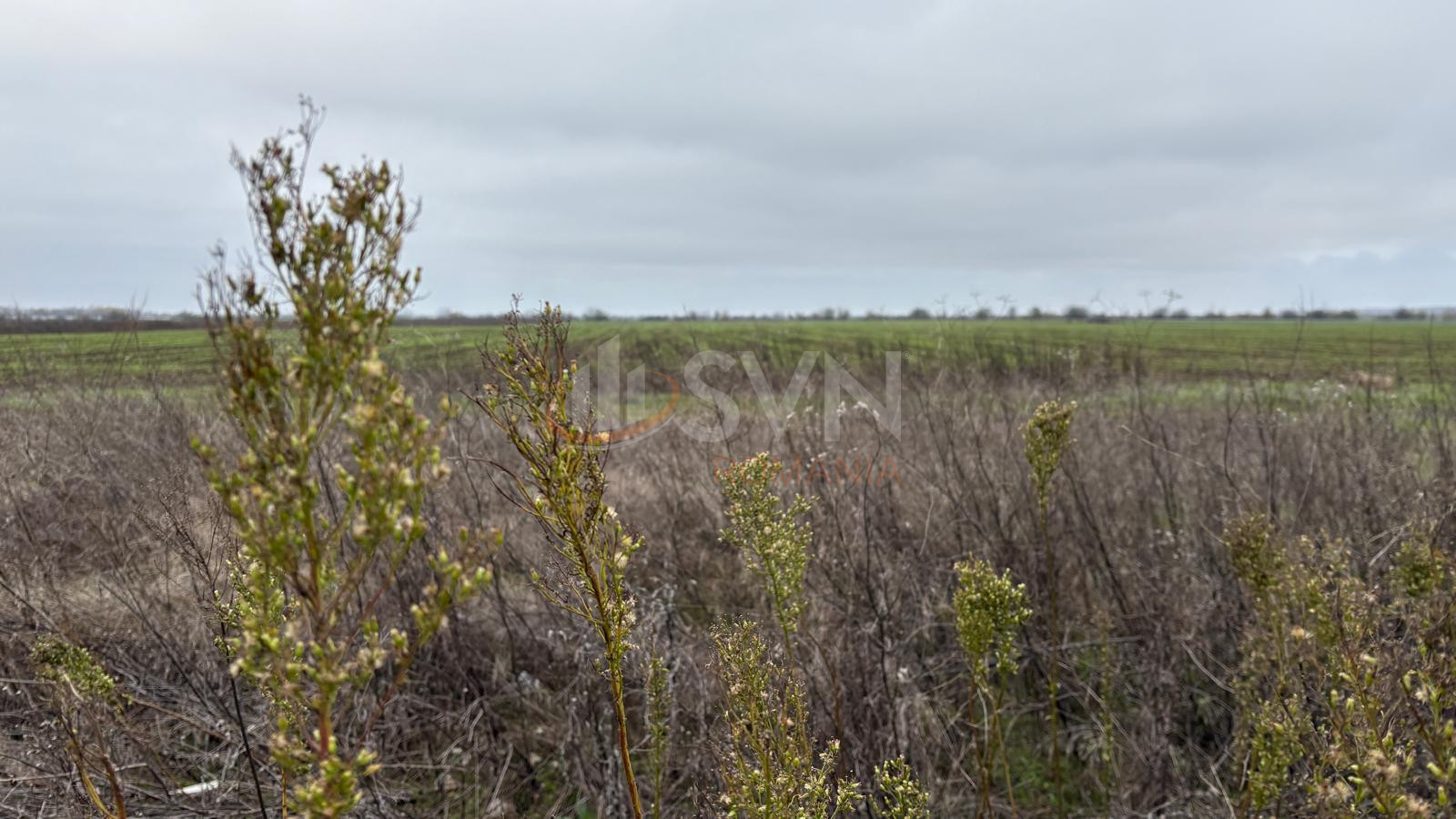 Teren 10909 mp Ilfov/Tunari