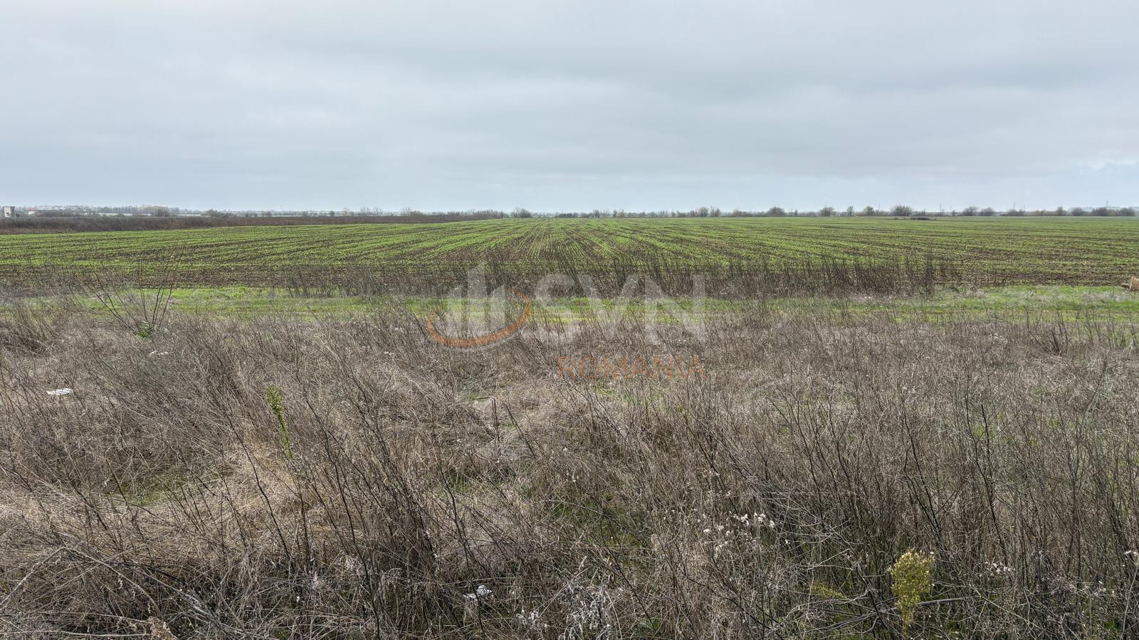 Teren 10909 mp Ilfov/Tunari