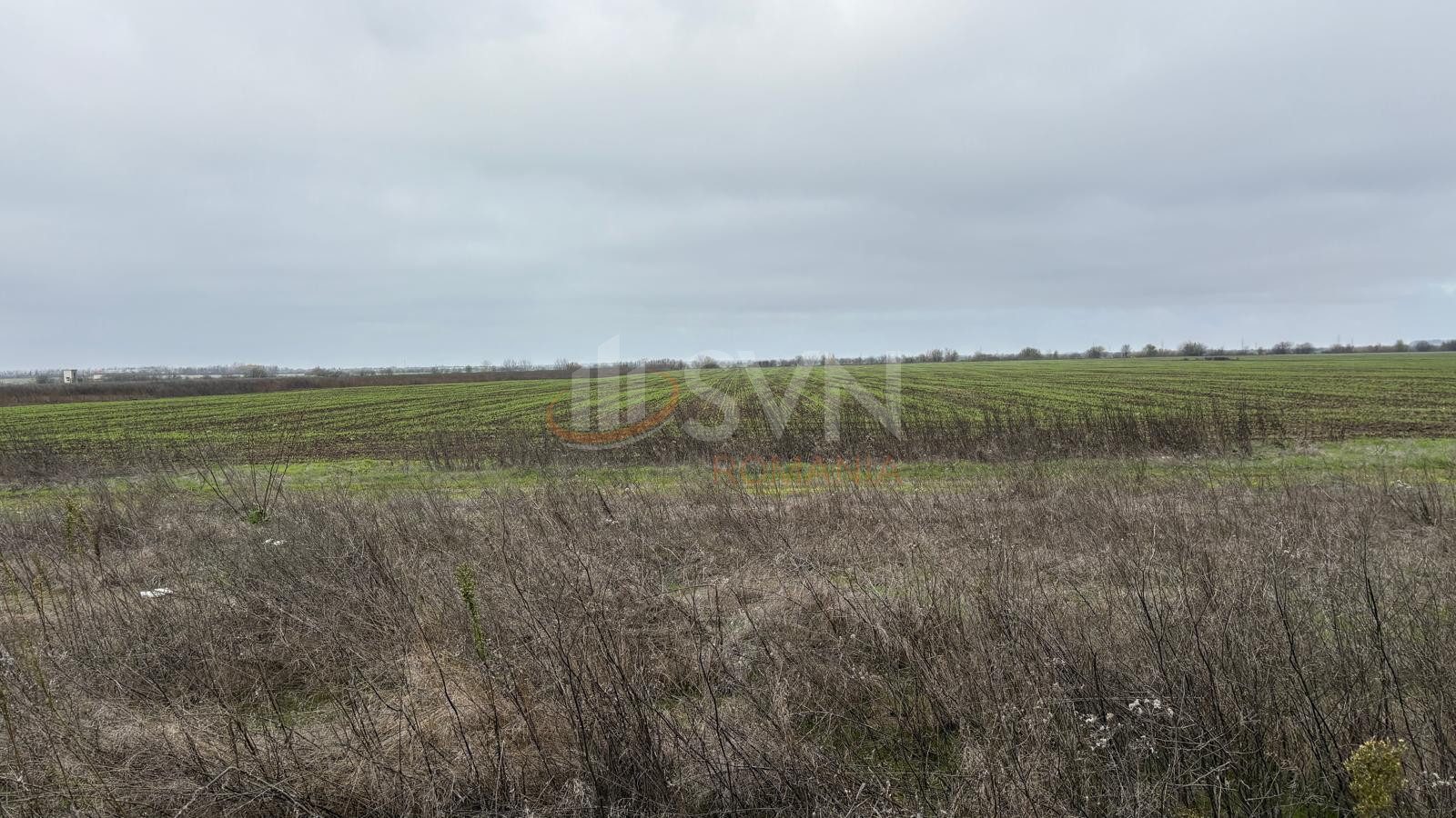 Teren 10909 mp Ilfov/Tunari