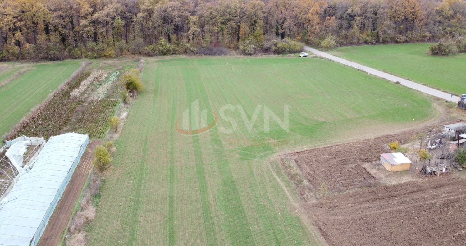 Teren 1500 mp Ilfov/Nuci