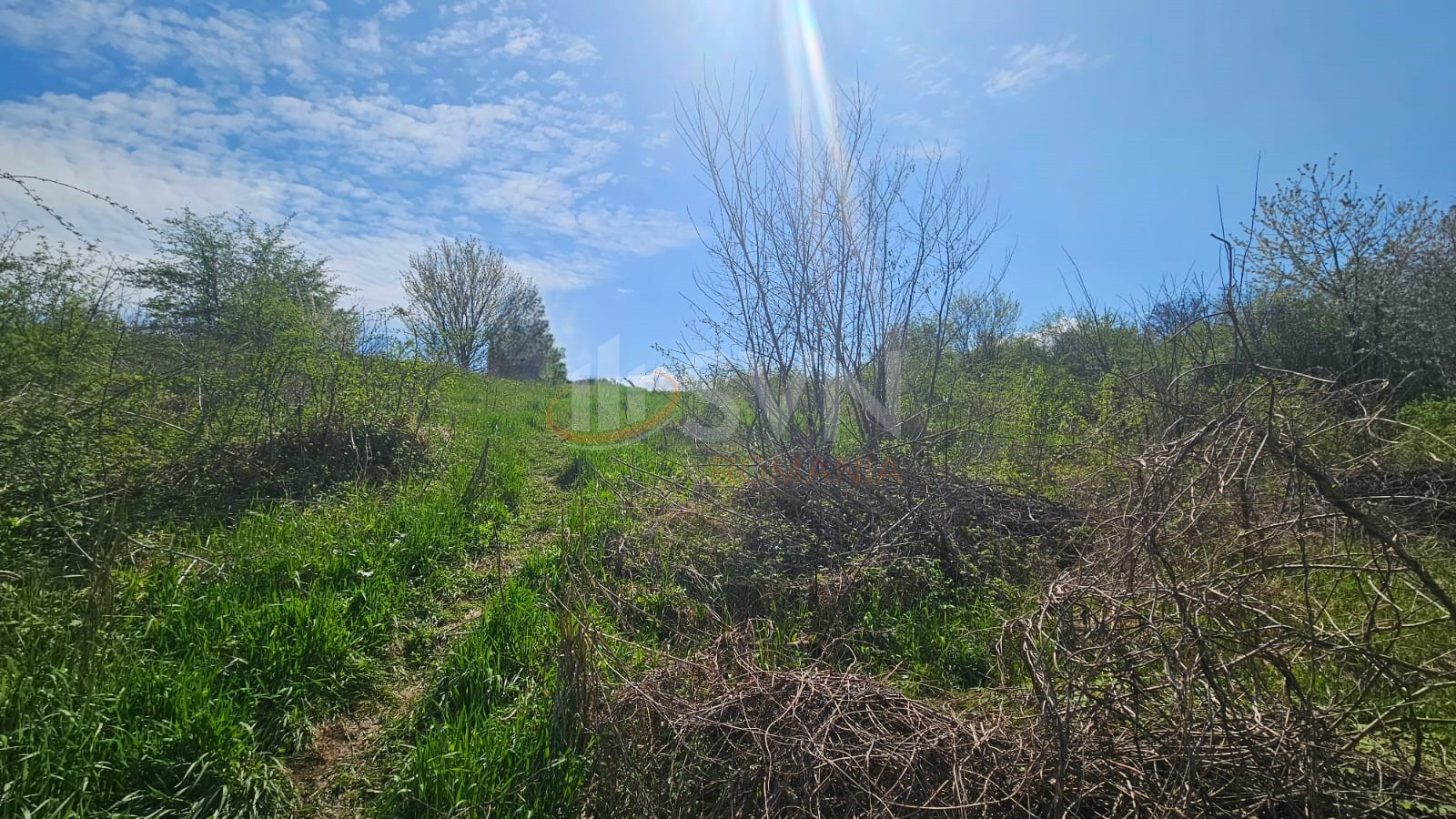Teren 1500 mp Ilfov/Snagov