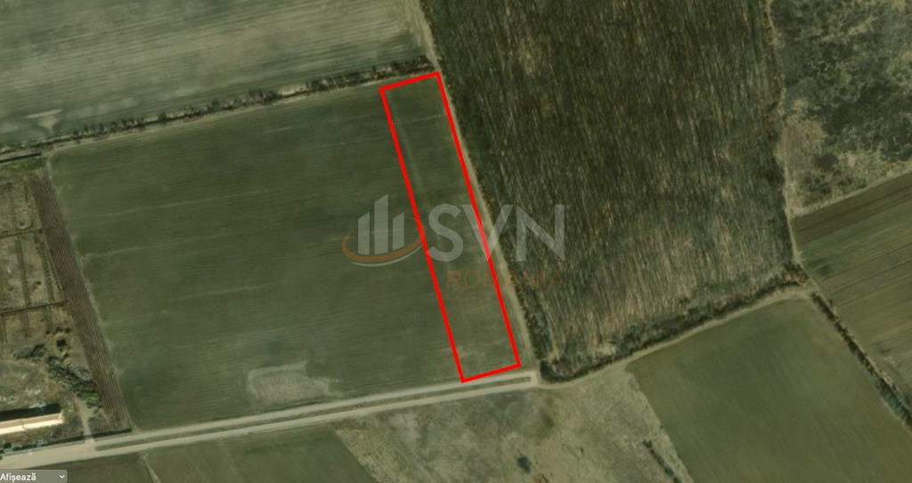 Teren 15200 mp Ilfov/Corbeanca
