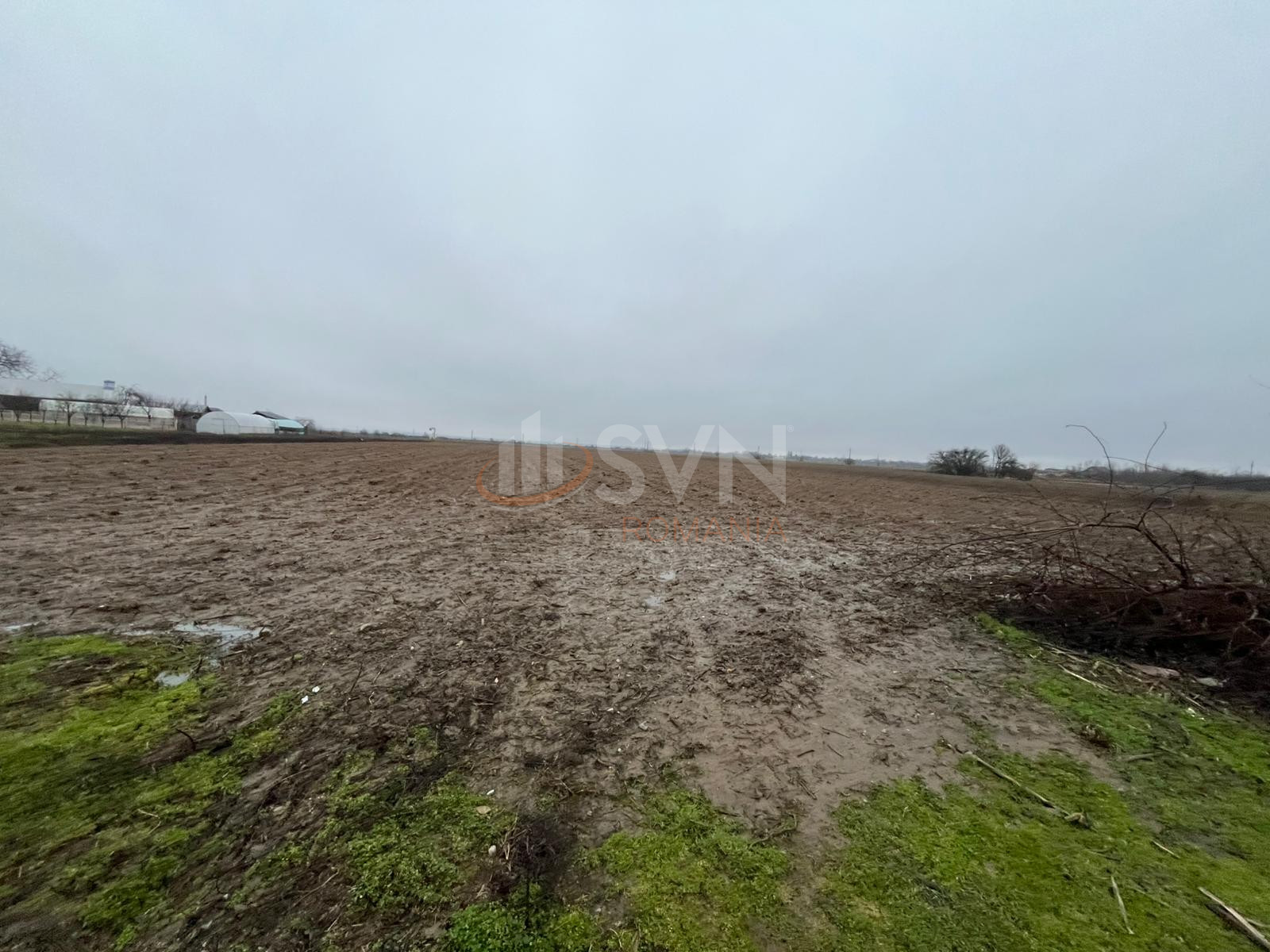 Teren 1950 mp Dambovita/Centru