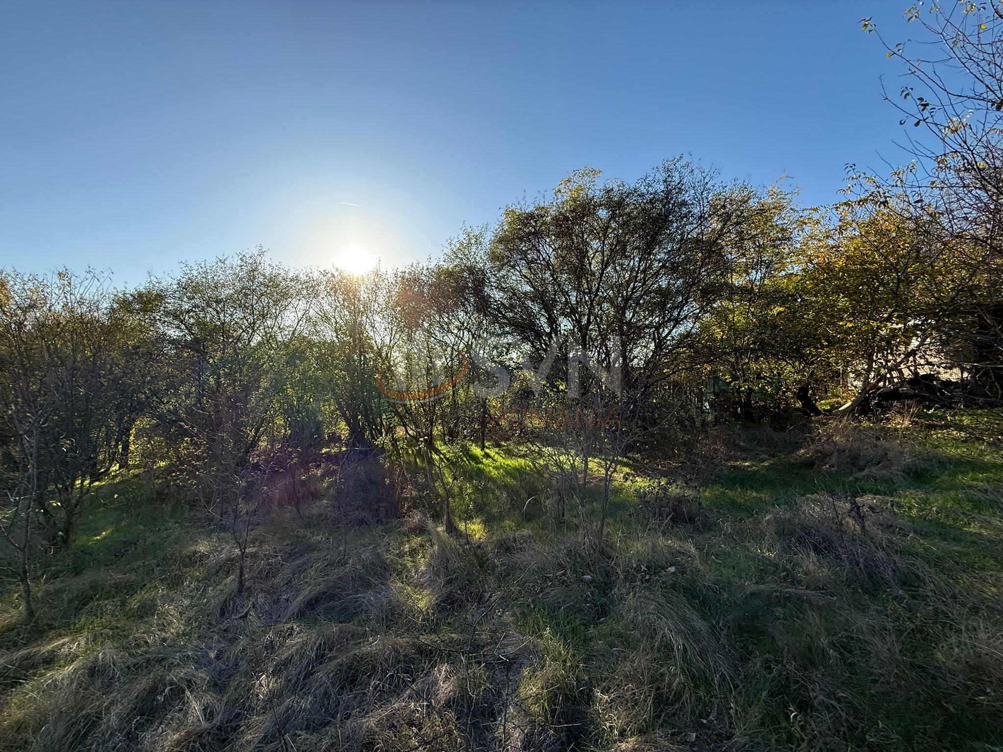 Teren 1976 mp Ilfov/Snagov