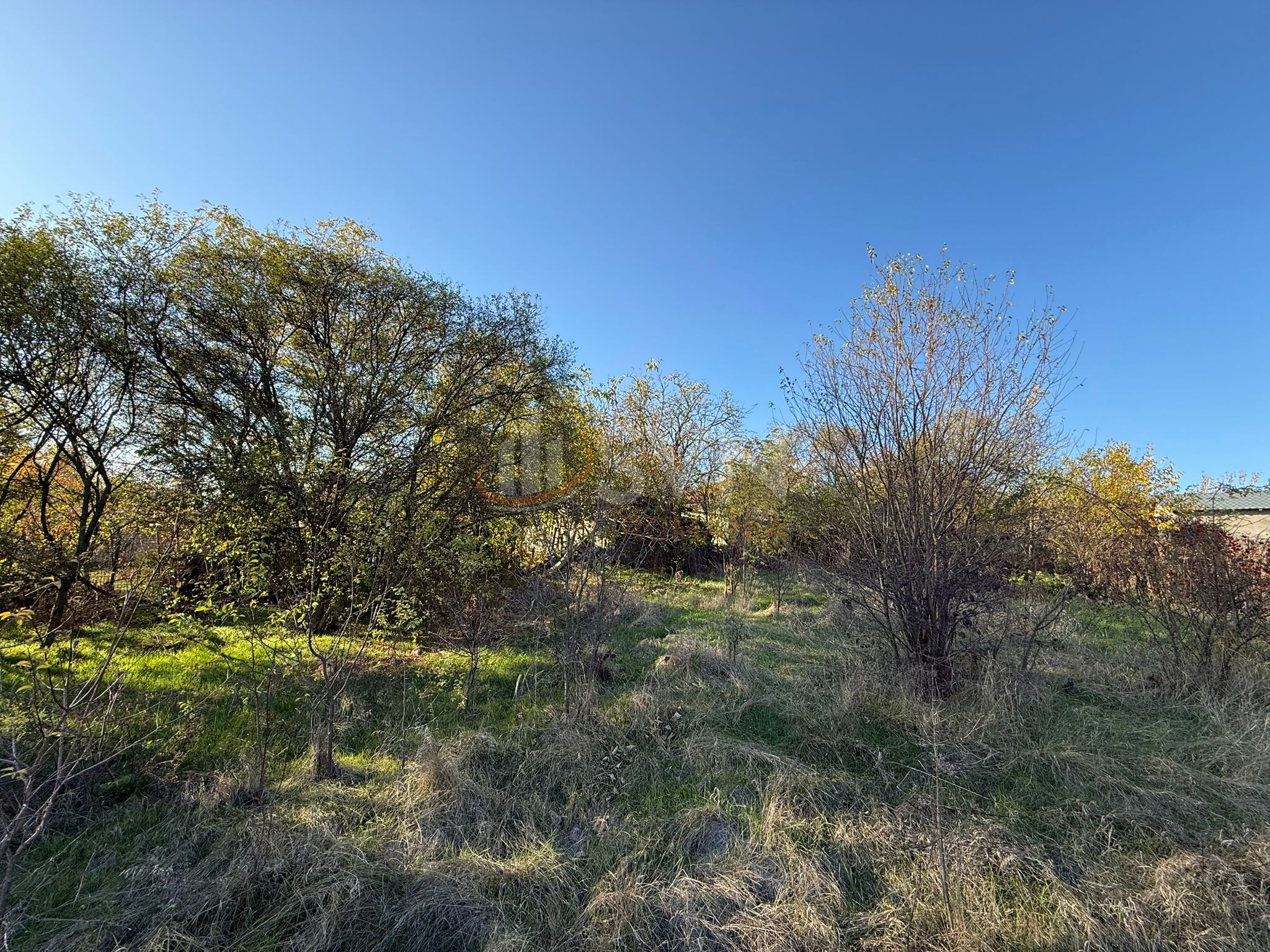 Teren 1976 mp Ilfov/Snagov