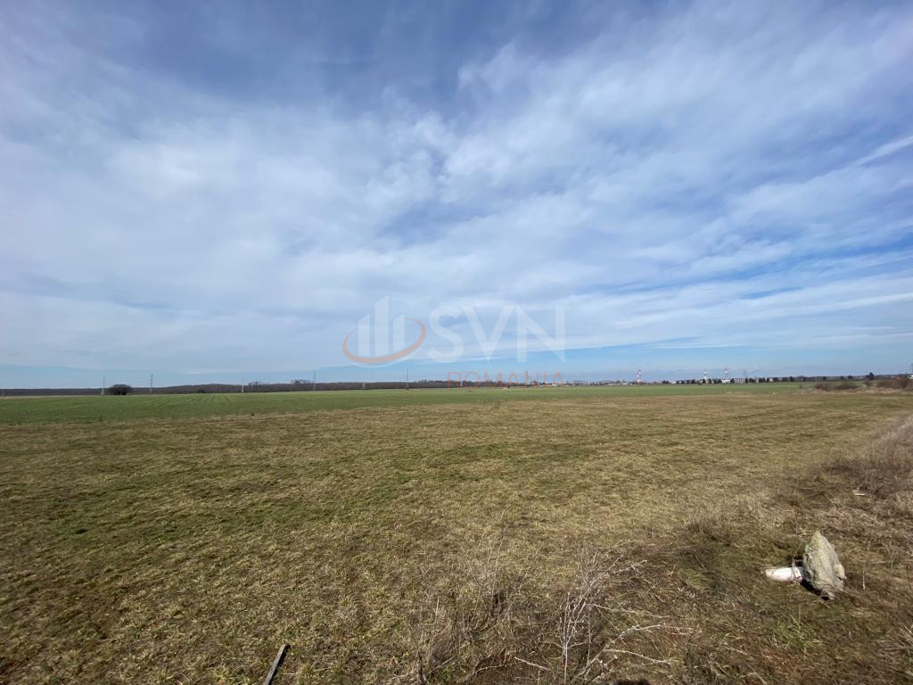 Teren 19914 mp Ilfov/Chitila