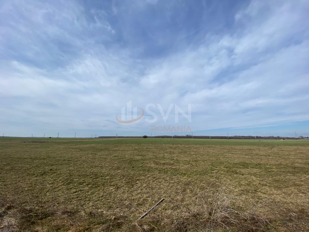 Teren 19914 mp Ilfov/Chitila