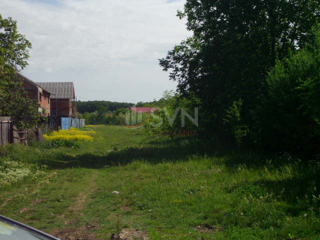 Teren 2010 mp Ilfov/Snagov