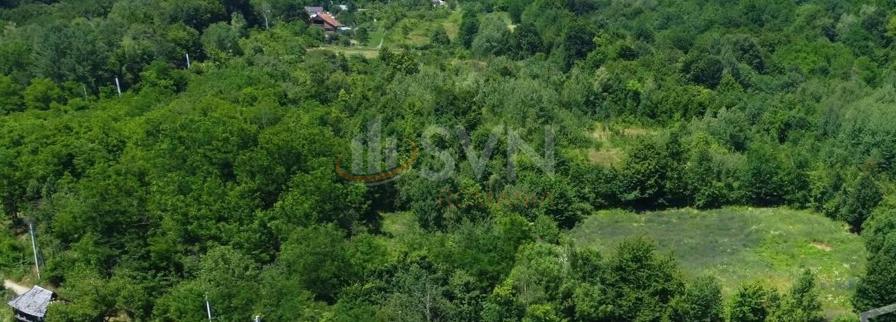 Teren 20698 mp Arges/Centru