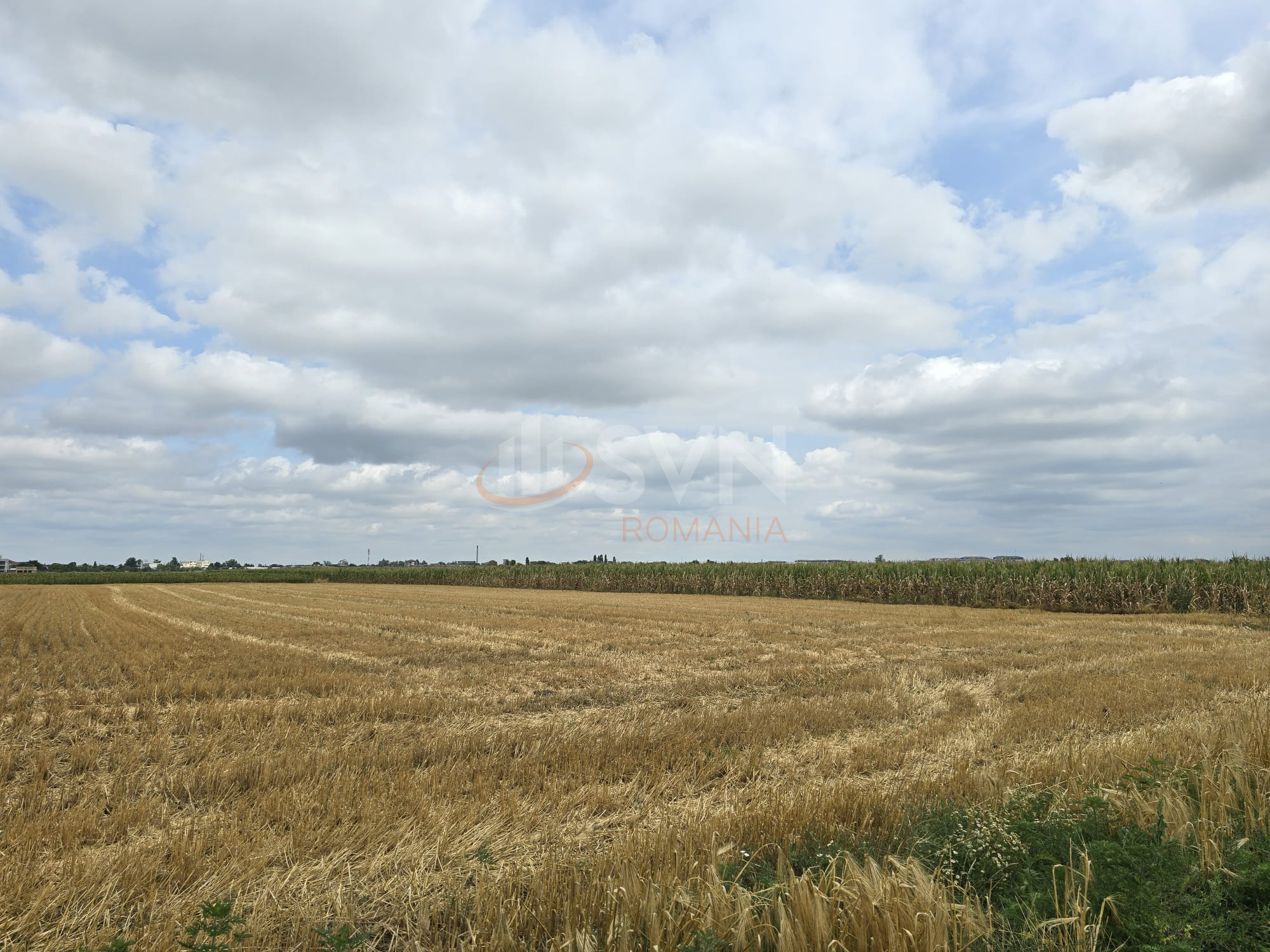 Teren 21958 mp Ilfov/Magurele