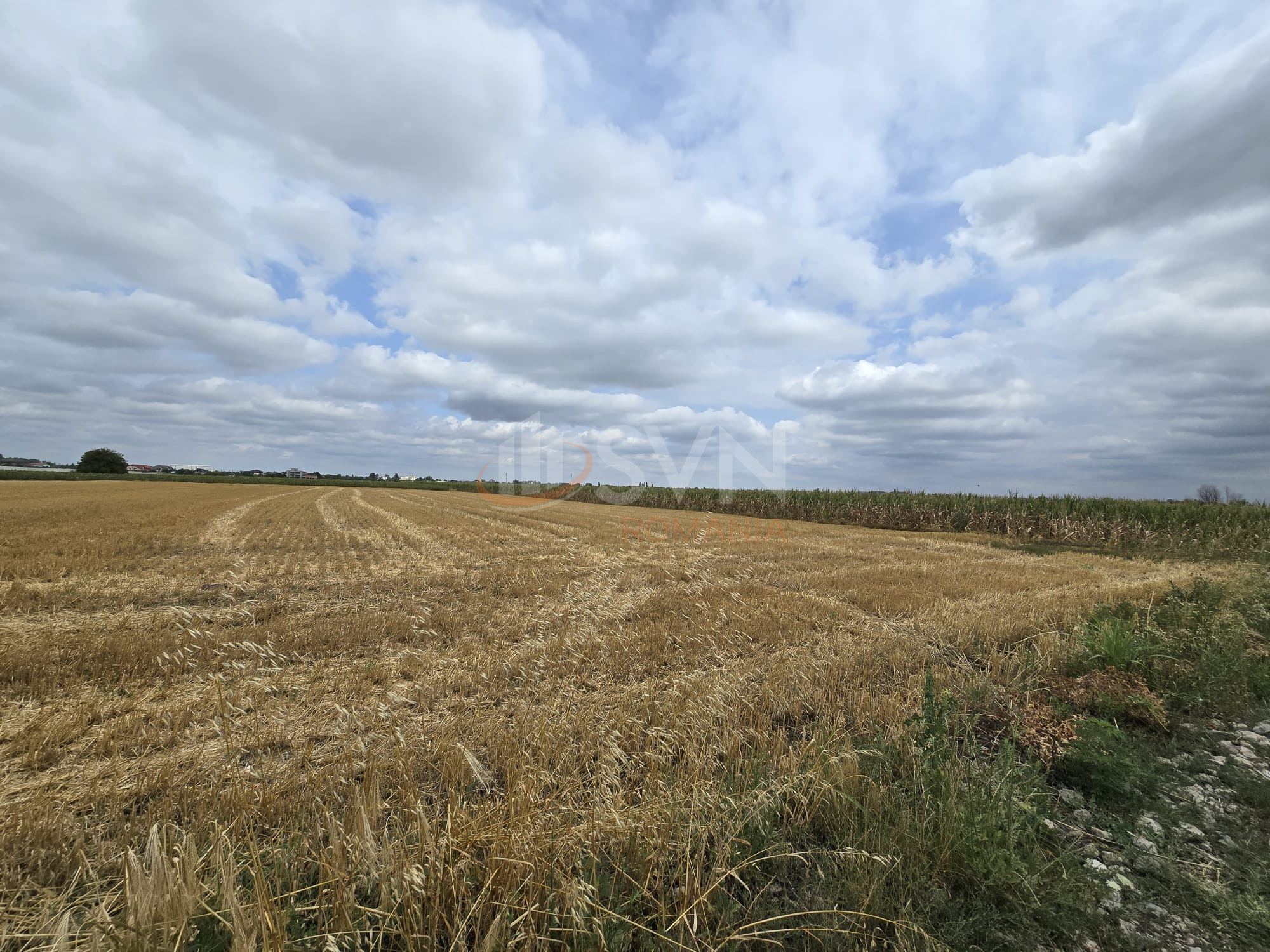 Teren 21958 mp Ilfov/Magurele