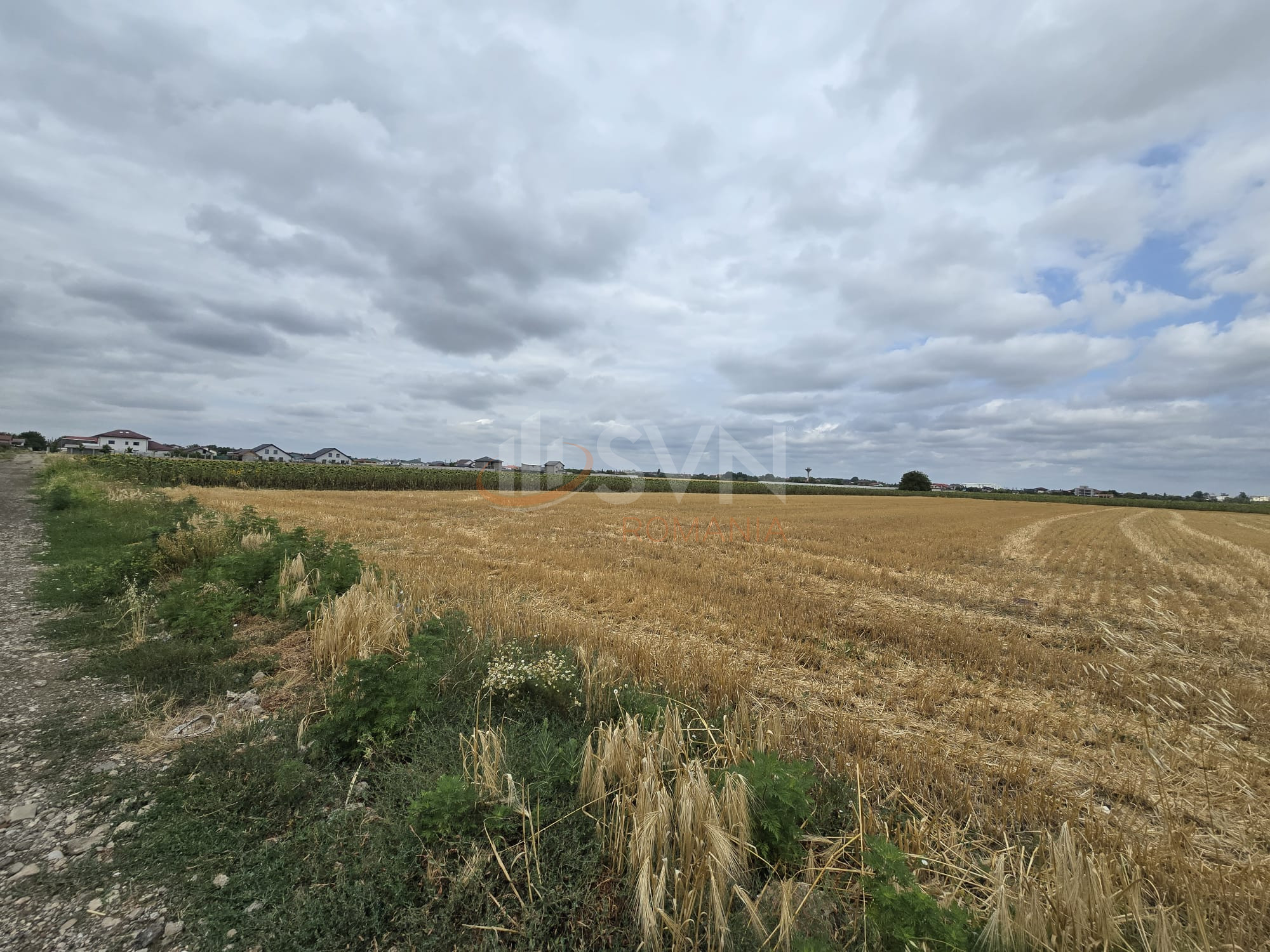 Teren 21958 mp Ilfov/Magurele