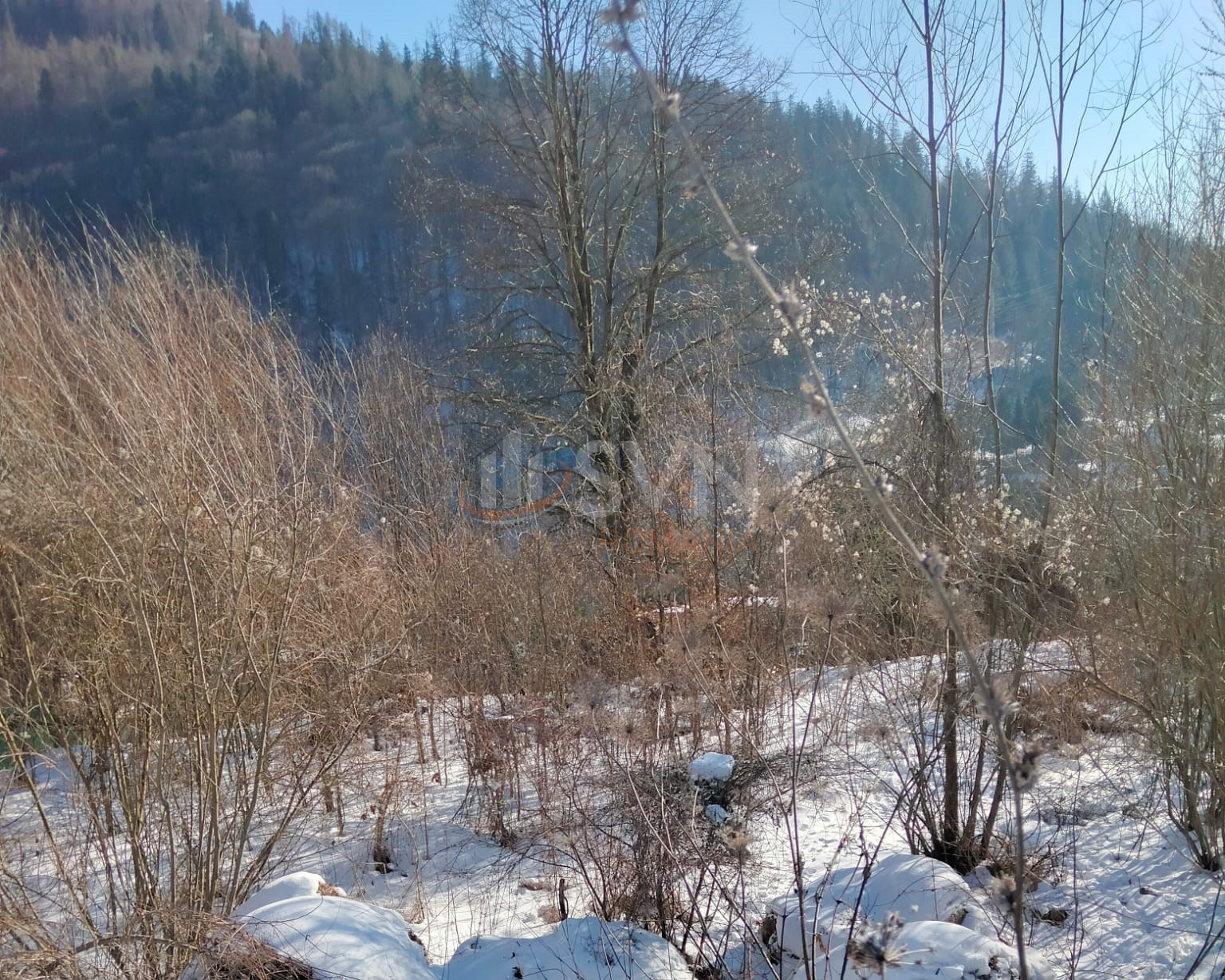 Teren 2255 mp Prahova/Centru