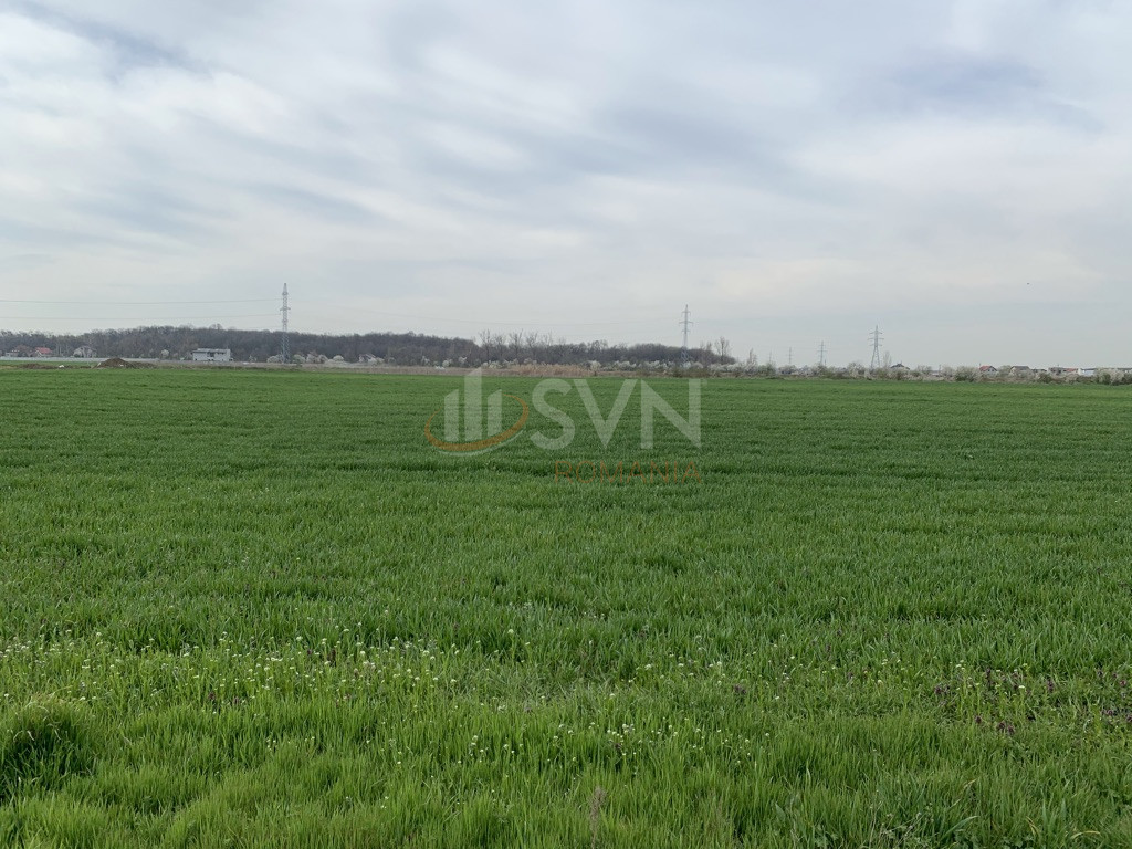 Teren 2400 mp Ilfov/Magurele