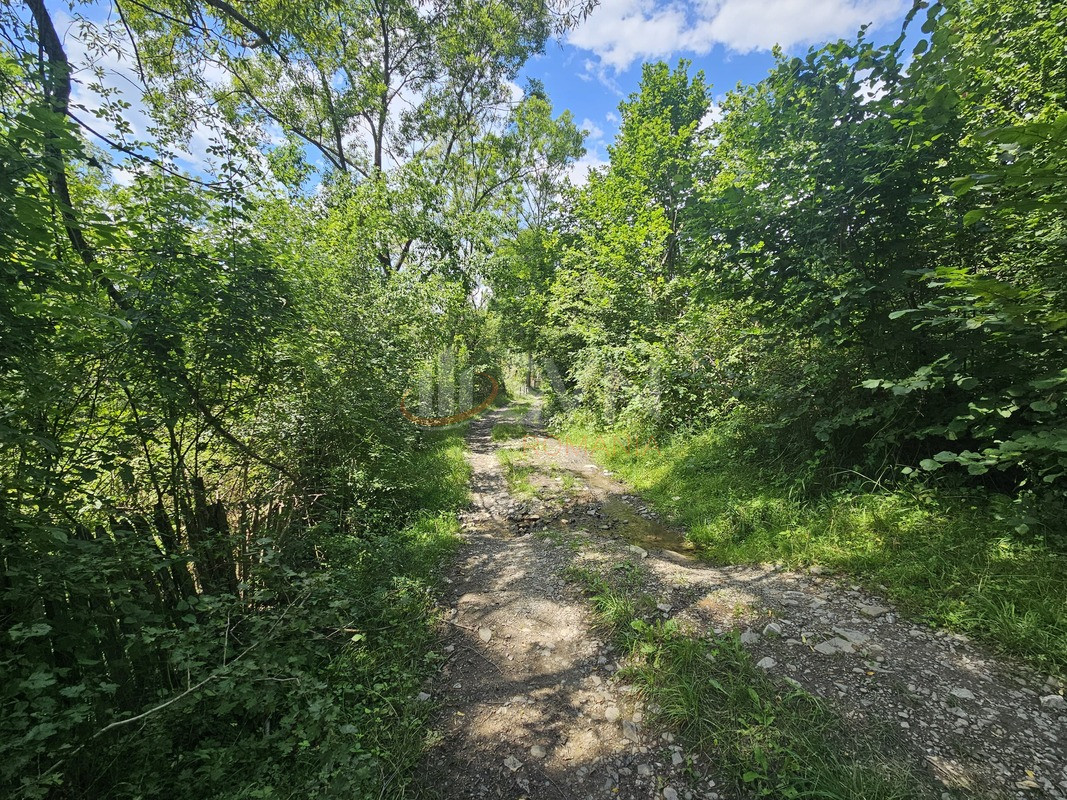 Teren 2500 mp Prahova/Centru