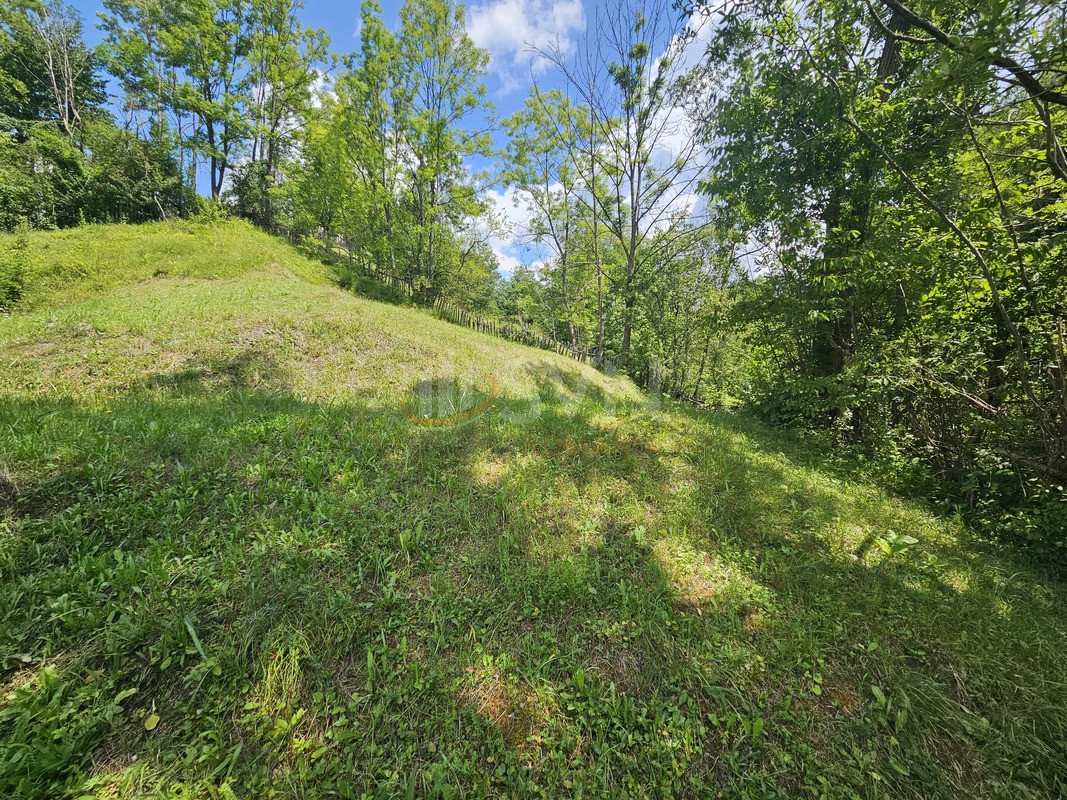 Teren 2500 mp Prahova/Centru