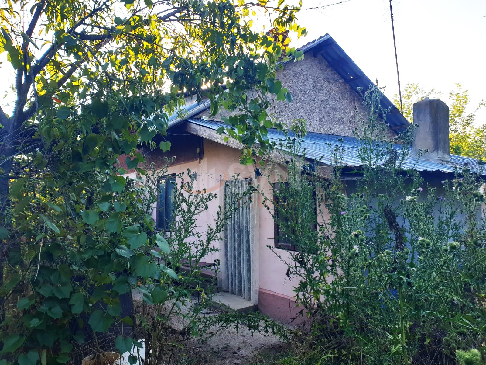 Teren 2500 mp Ilfov/Snagov