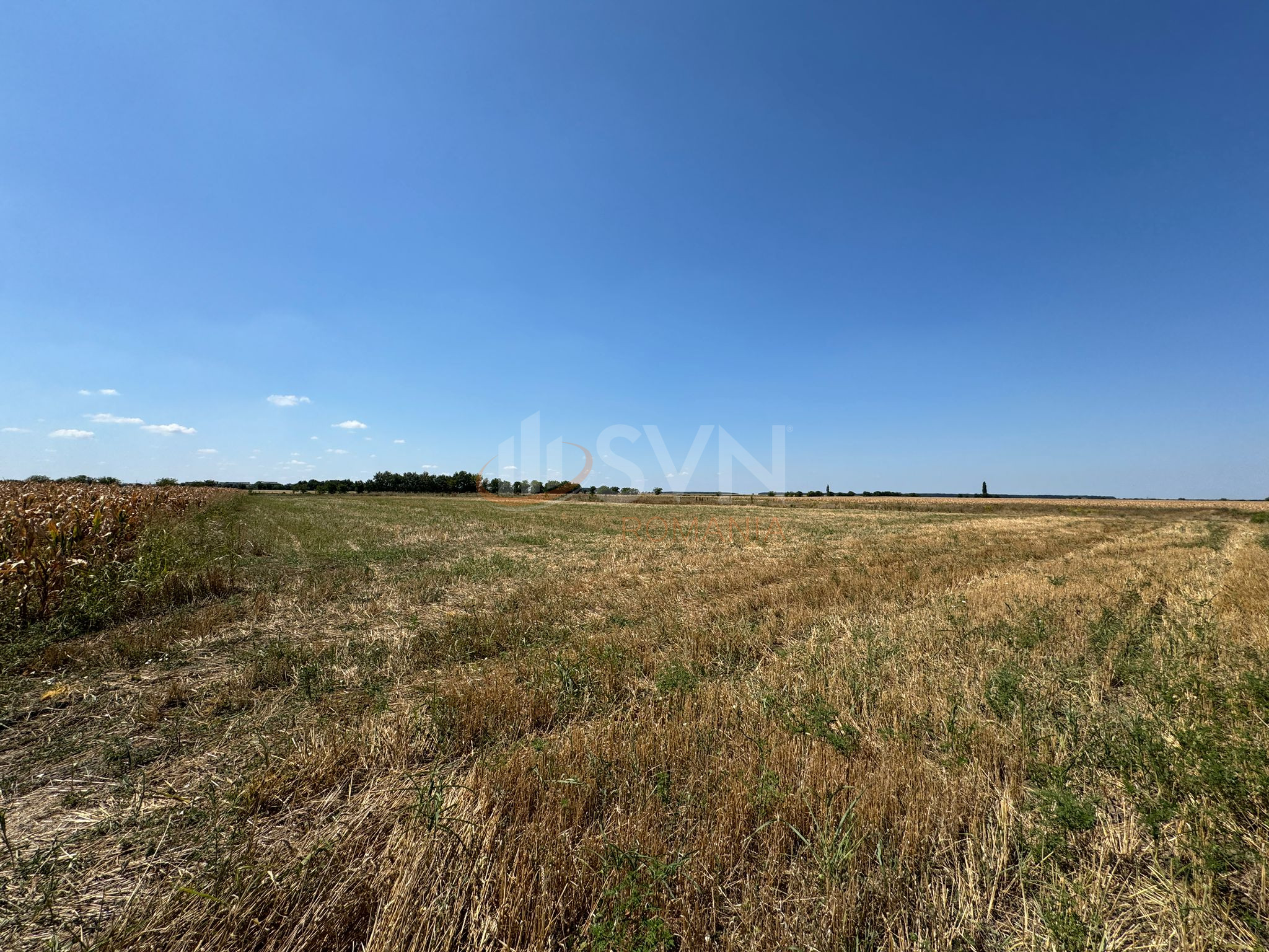 Teren 26000 mp Ilfov/Otopeni
