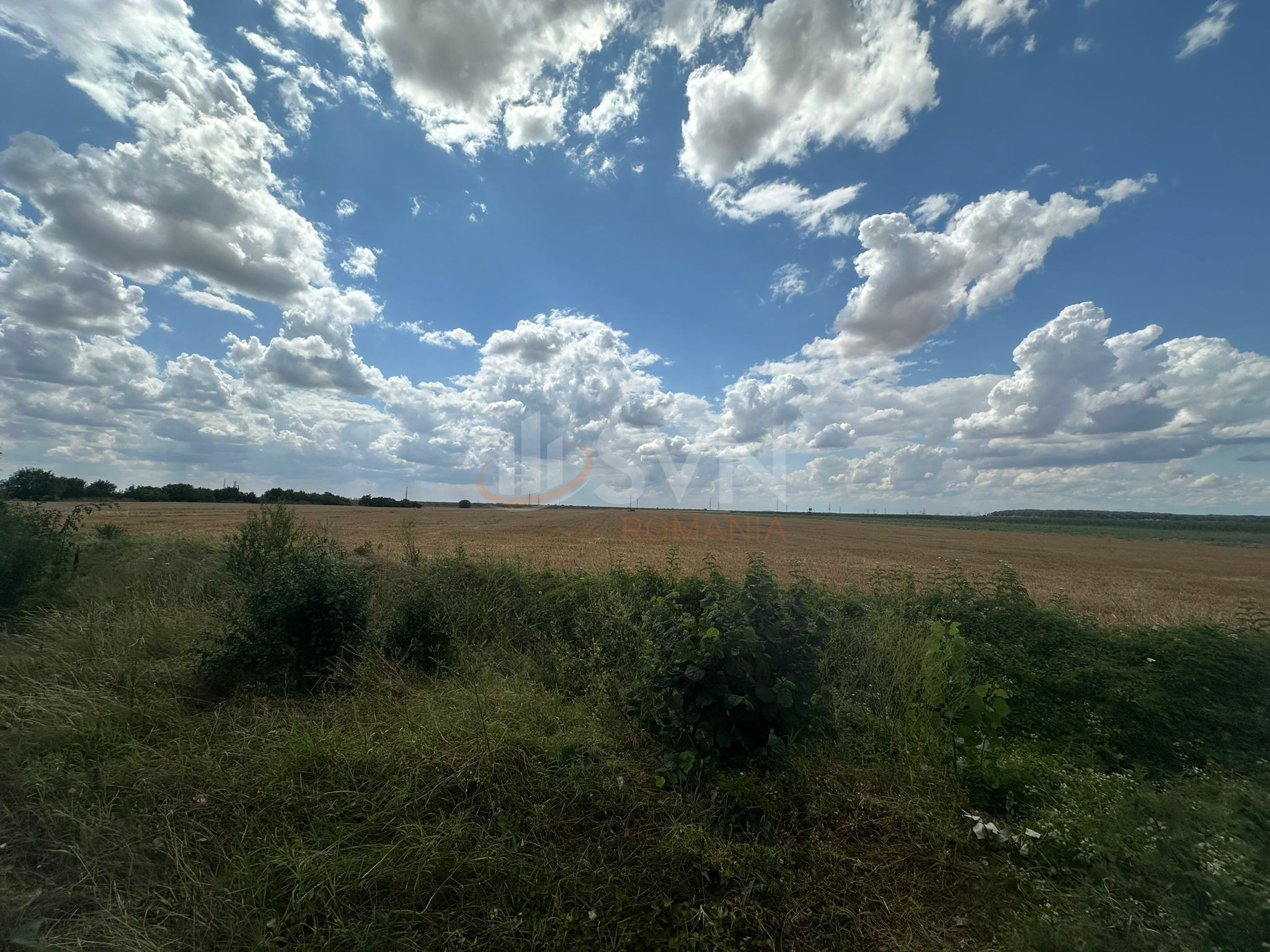 Teren 26000 mp Ilfov/Stefanestii De Jos