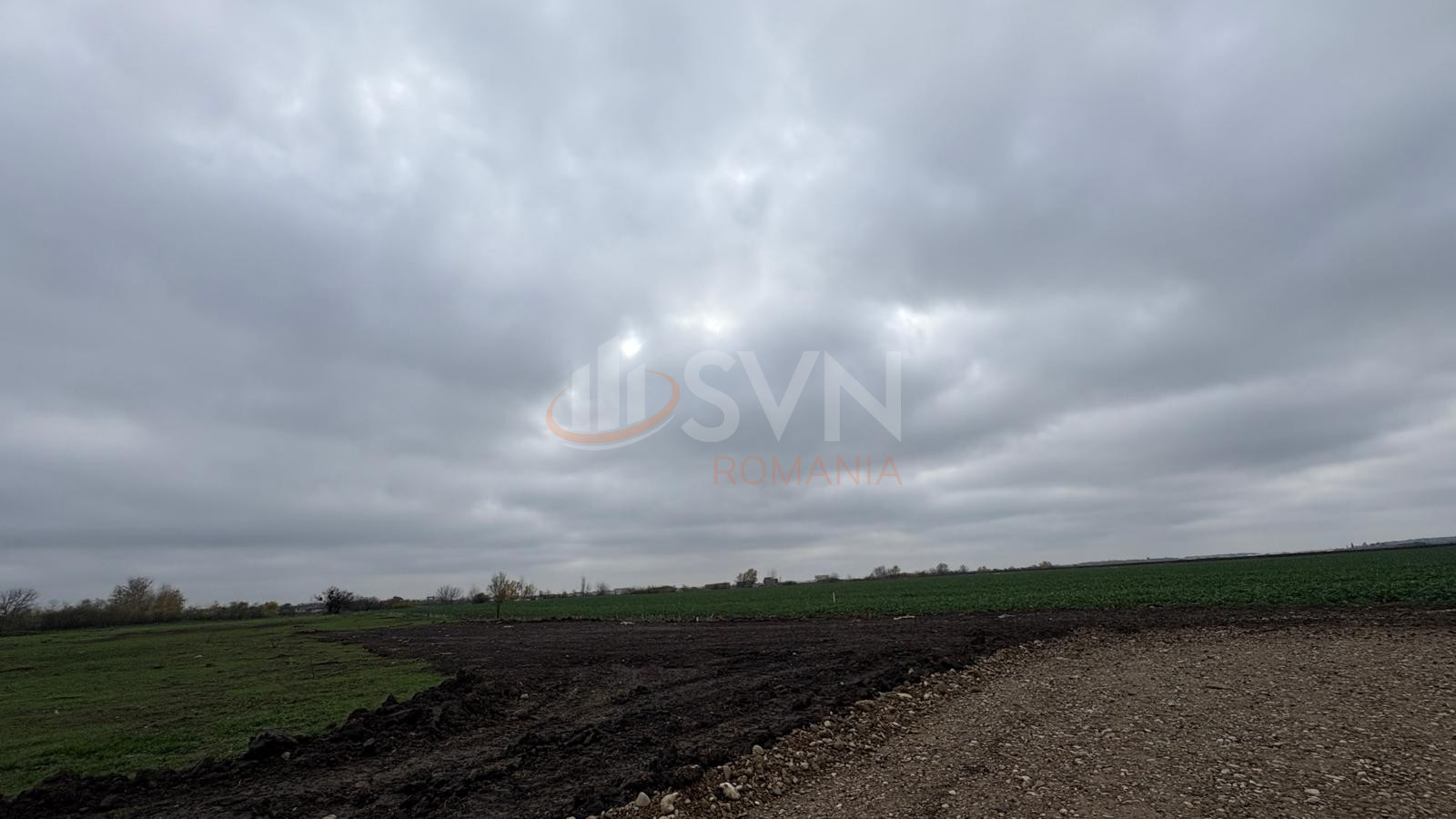 Teren 30120 mp Ilfov/Tunari