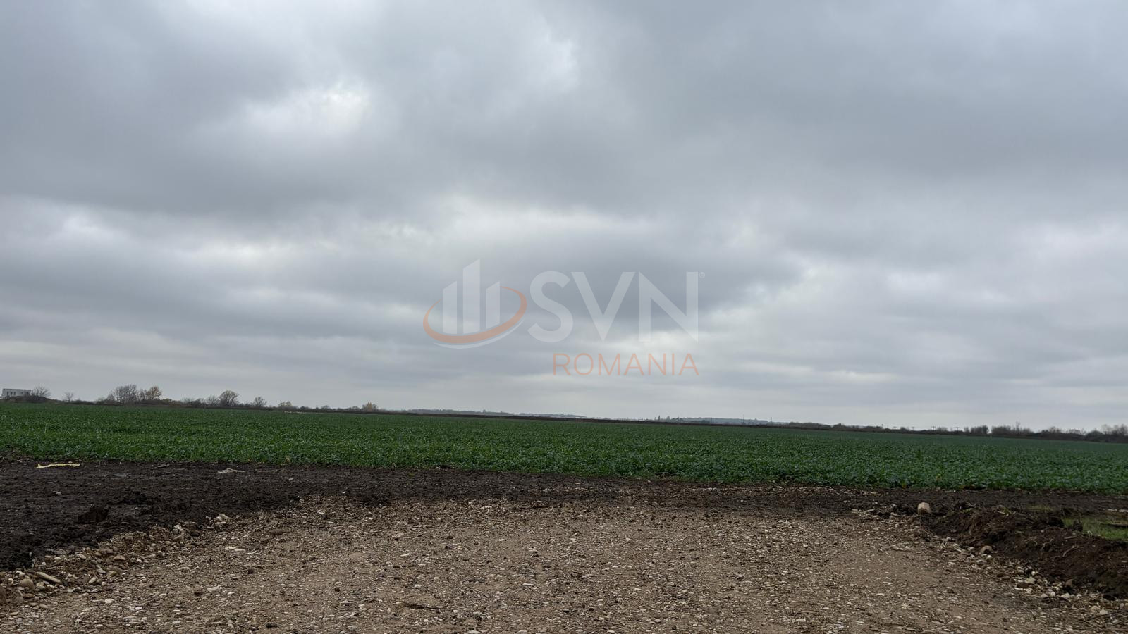 Teren 30120 mp Ilfov/Tunari