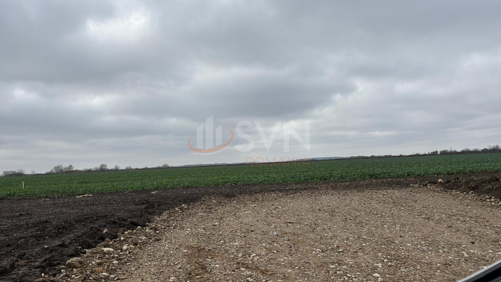 Teren 30120 mp Ilfov/Tunari