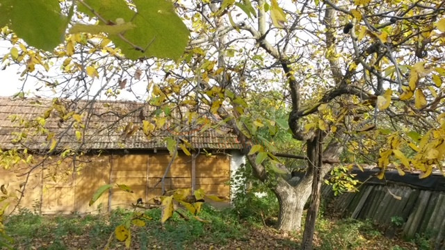 Teren 3344 mp Arad/Centru