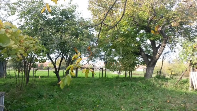 Teren 3344 mp Arad/Centru
