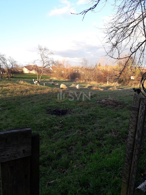 Teren 3344 mp Arad/Centru