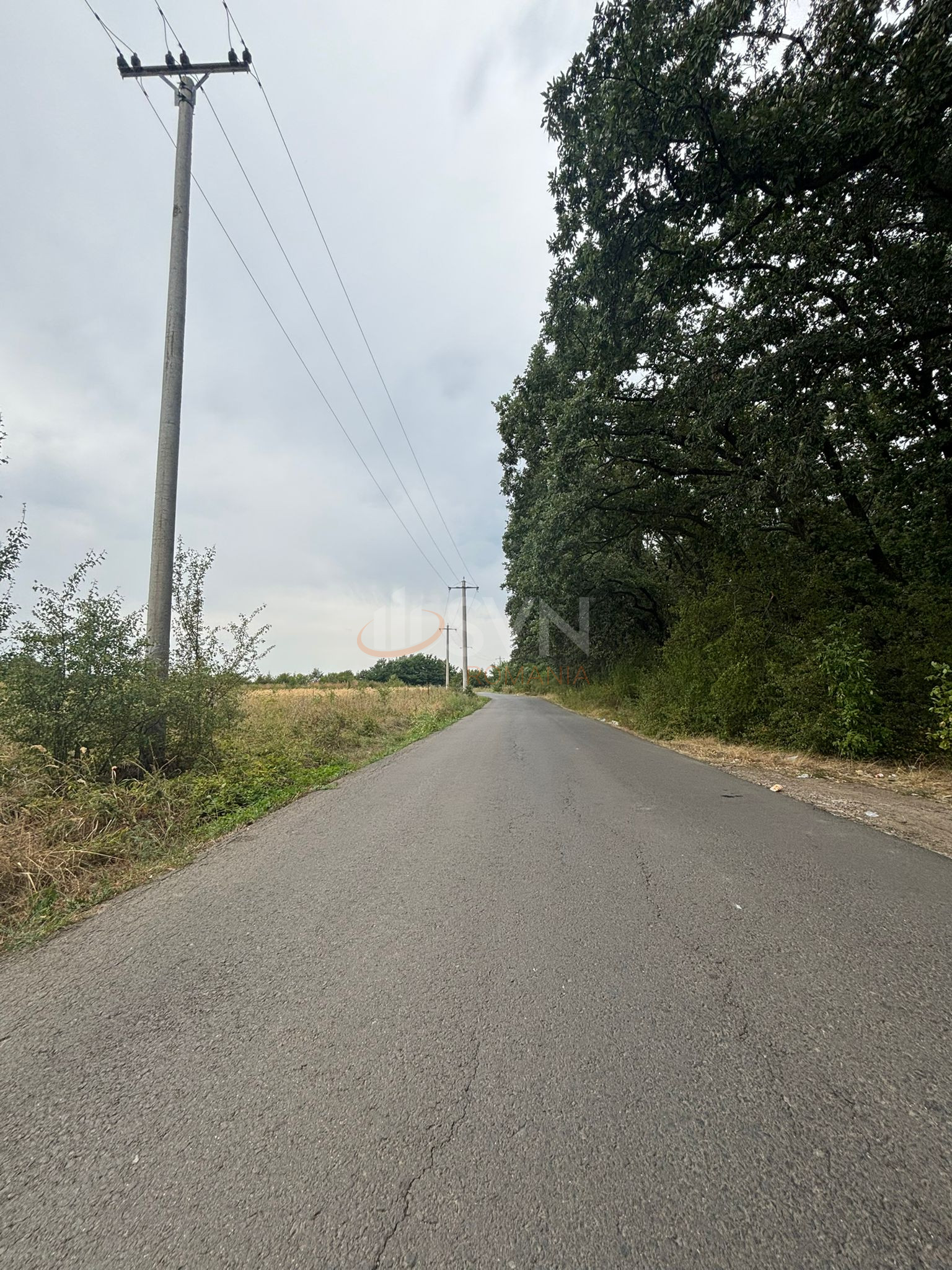 Teren 3500 mp Ilfov/Corbeanca