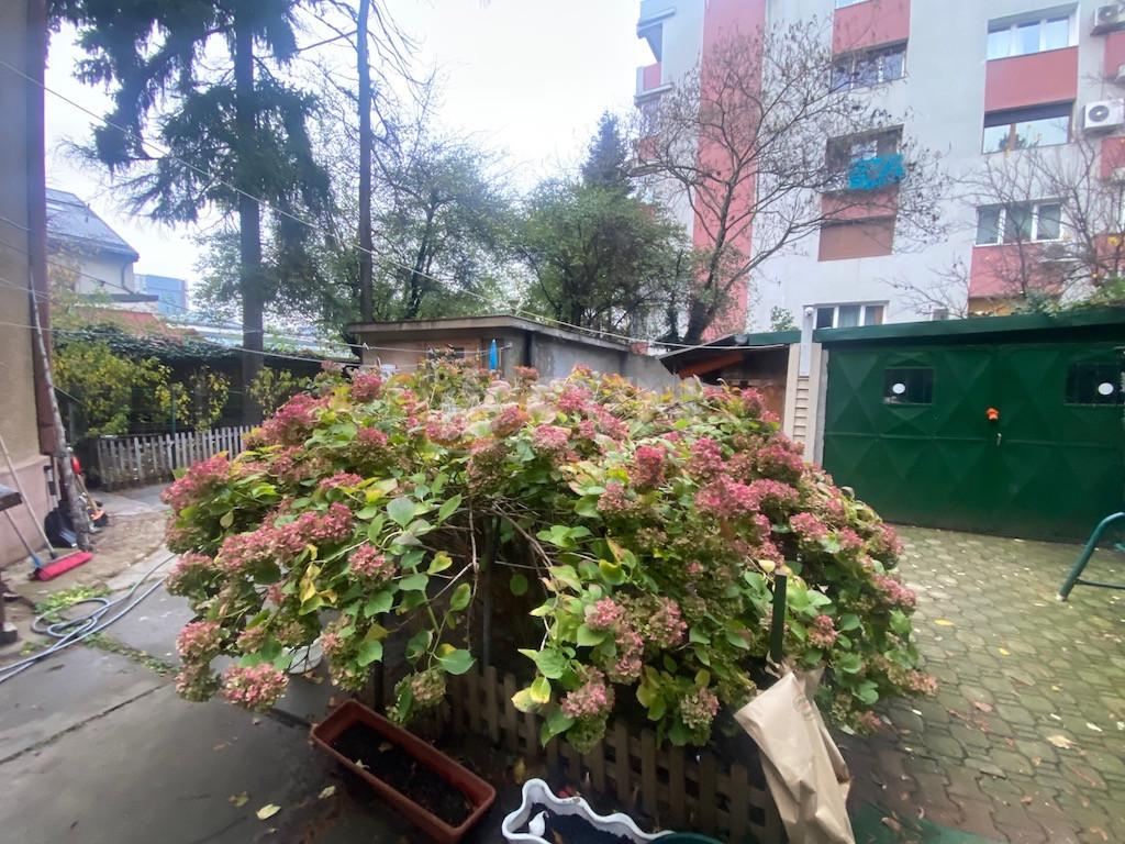 Teren 363 mp Bucuresti/Domenii