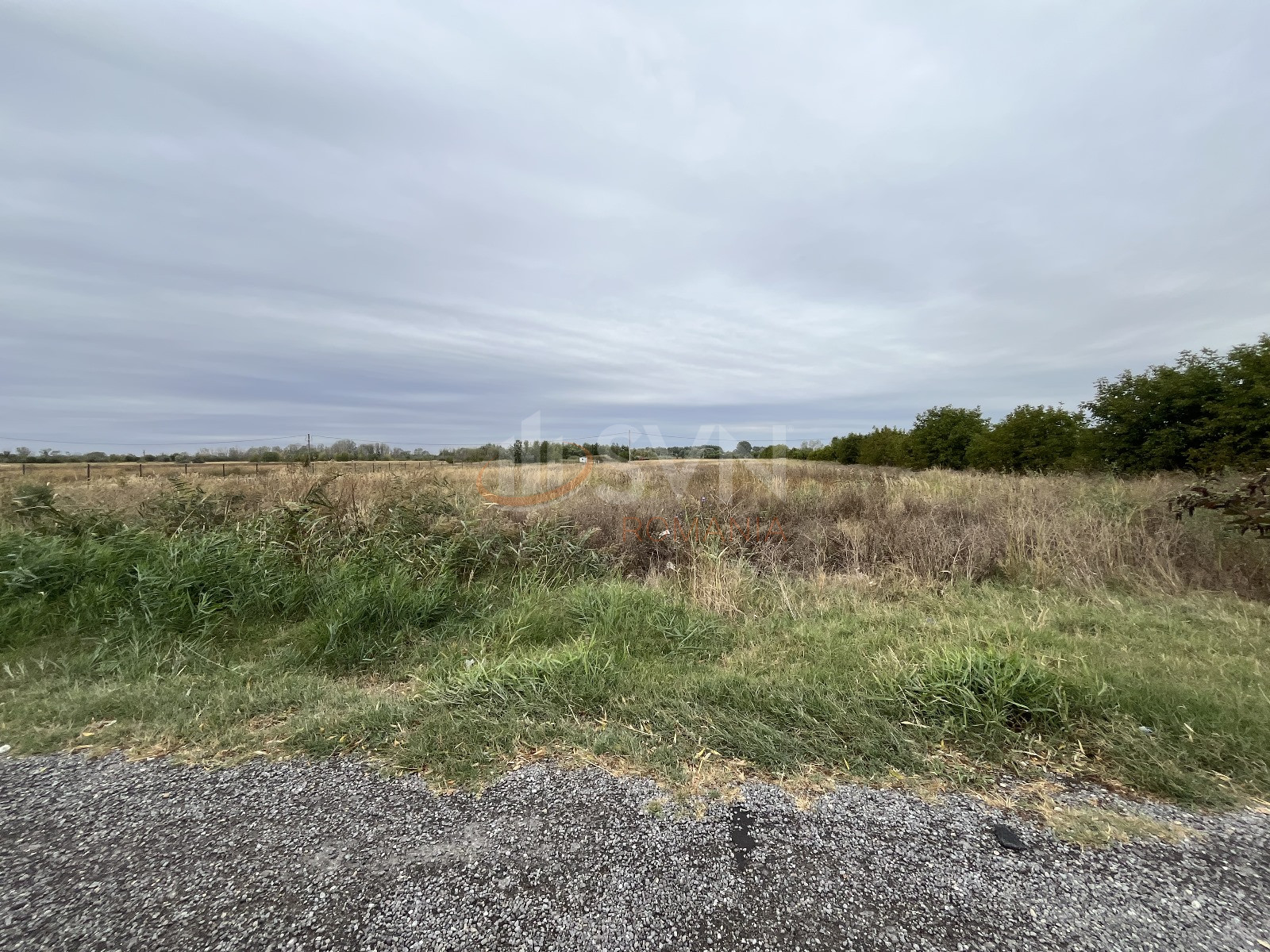 Teren 46495 mp Dambovita/Industriala