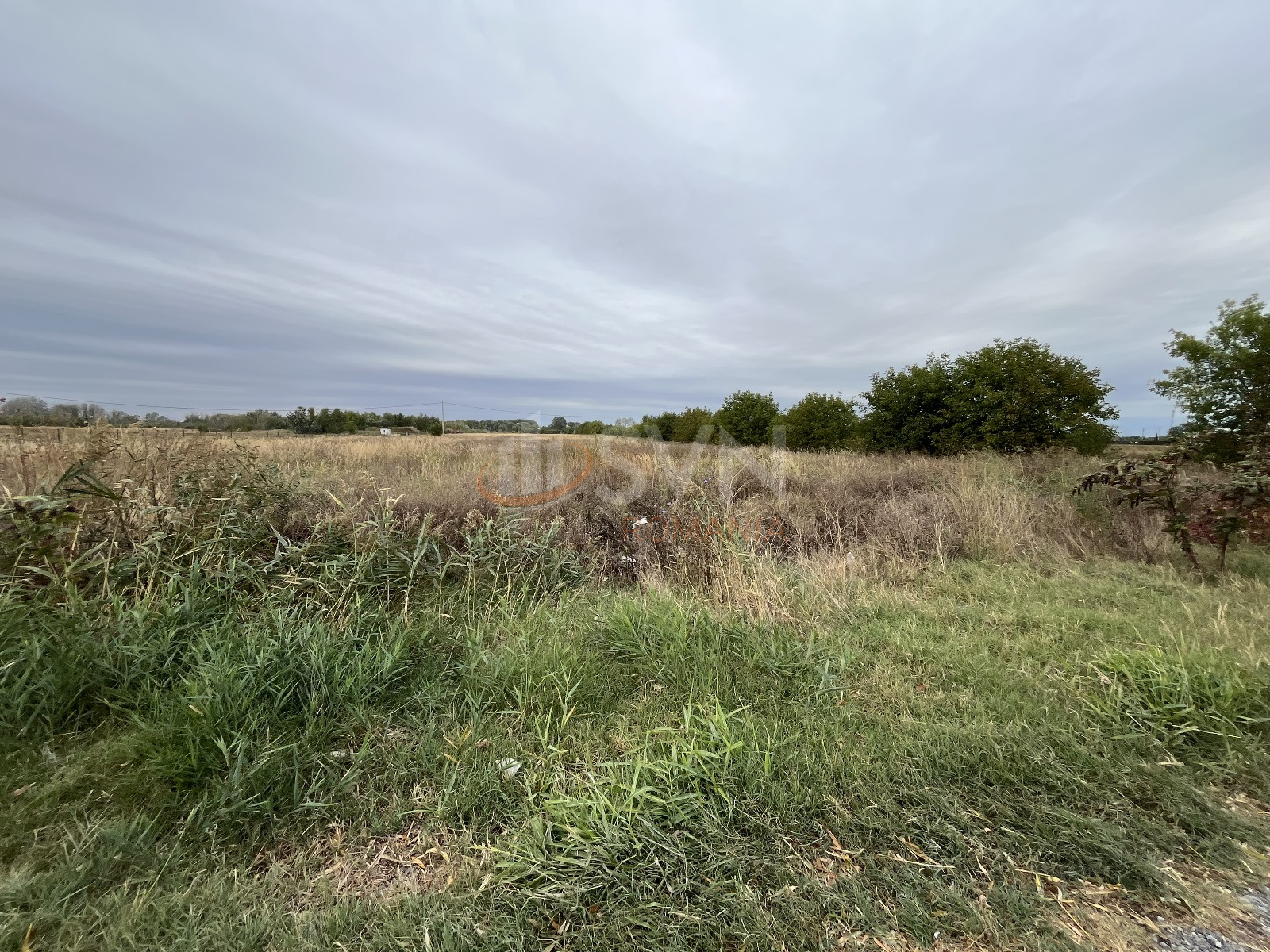 Teren 46495 mp Dambovita/Industriala