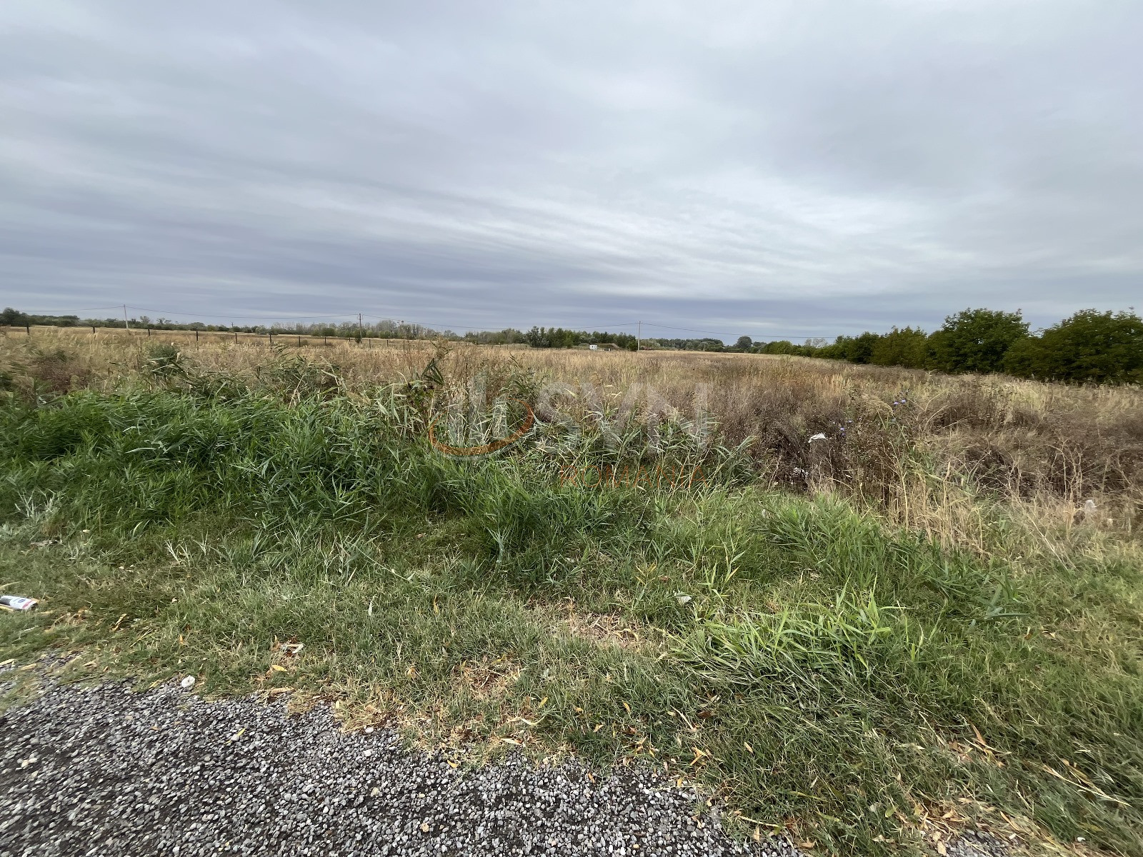 Teren 46495 mp Dambovita/Industriala