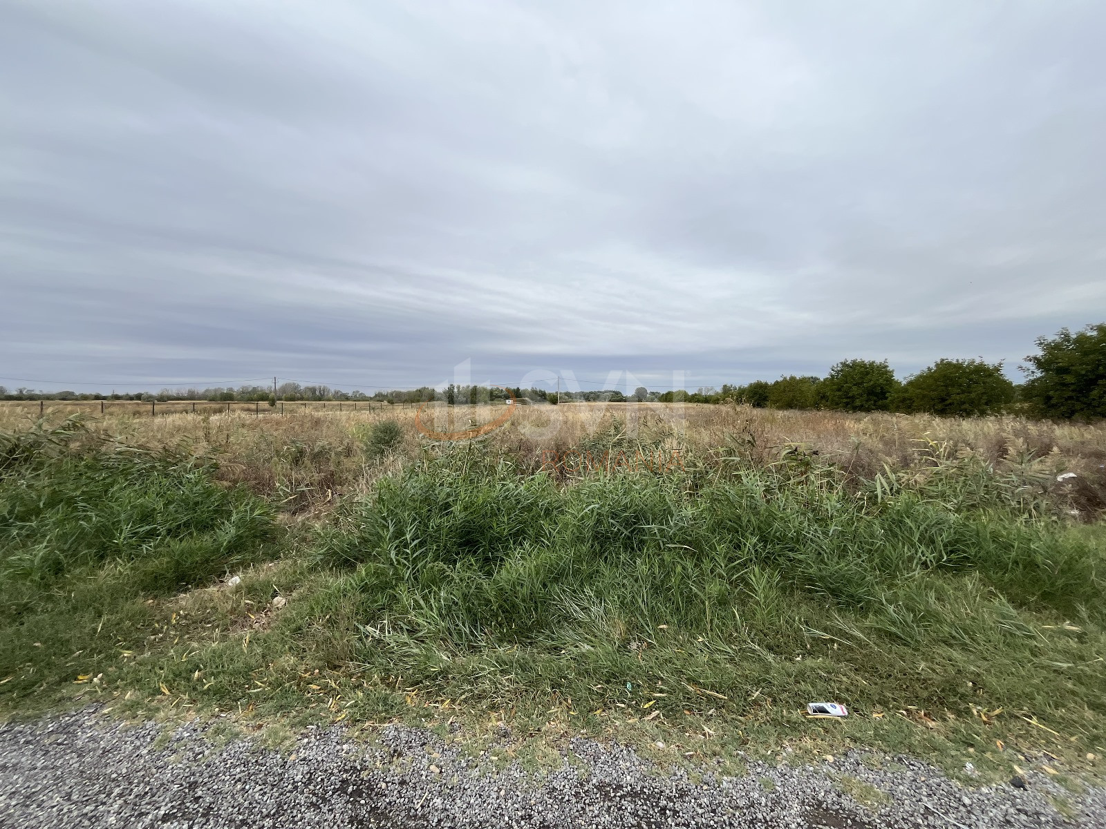 Teren 46495 mp Dambovita/Industriala