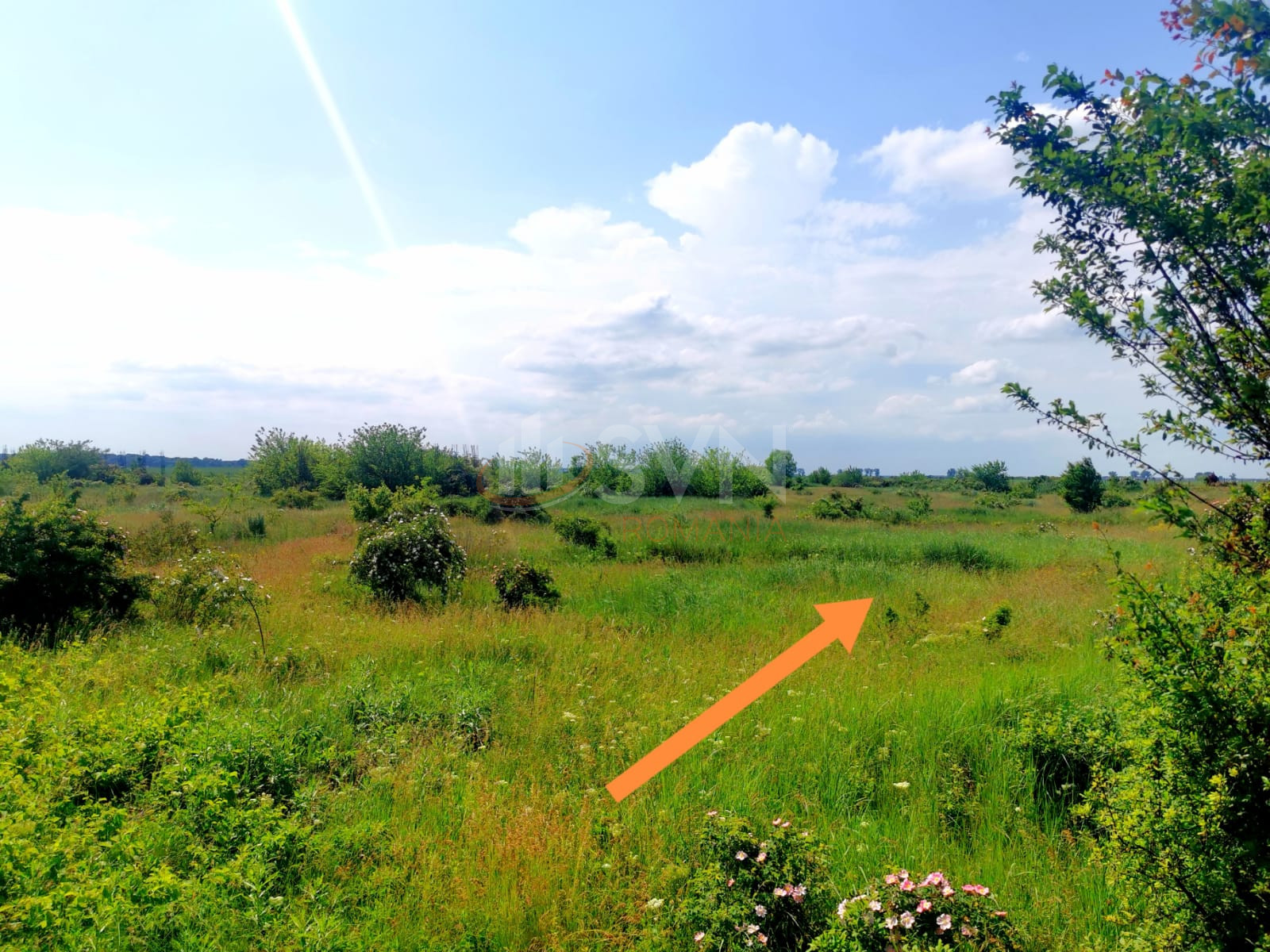 Teren 46618 mp Ilfov/Clinceni