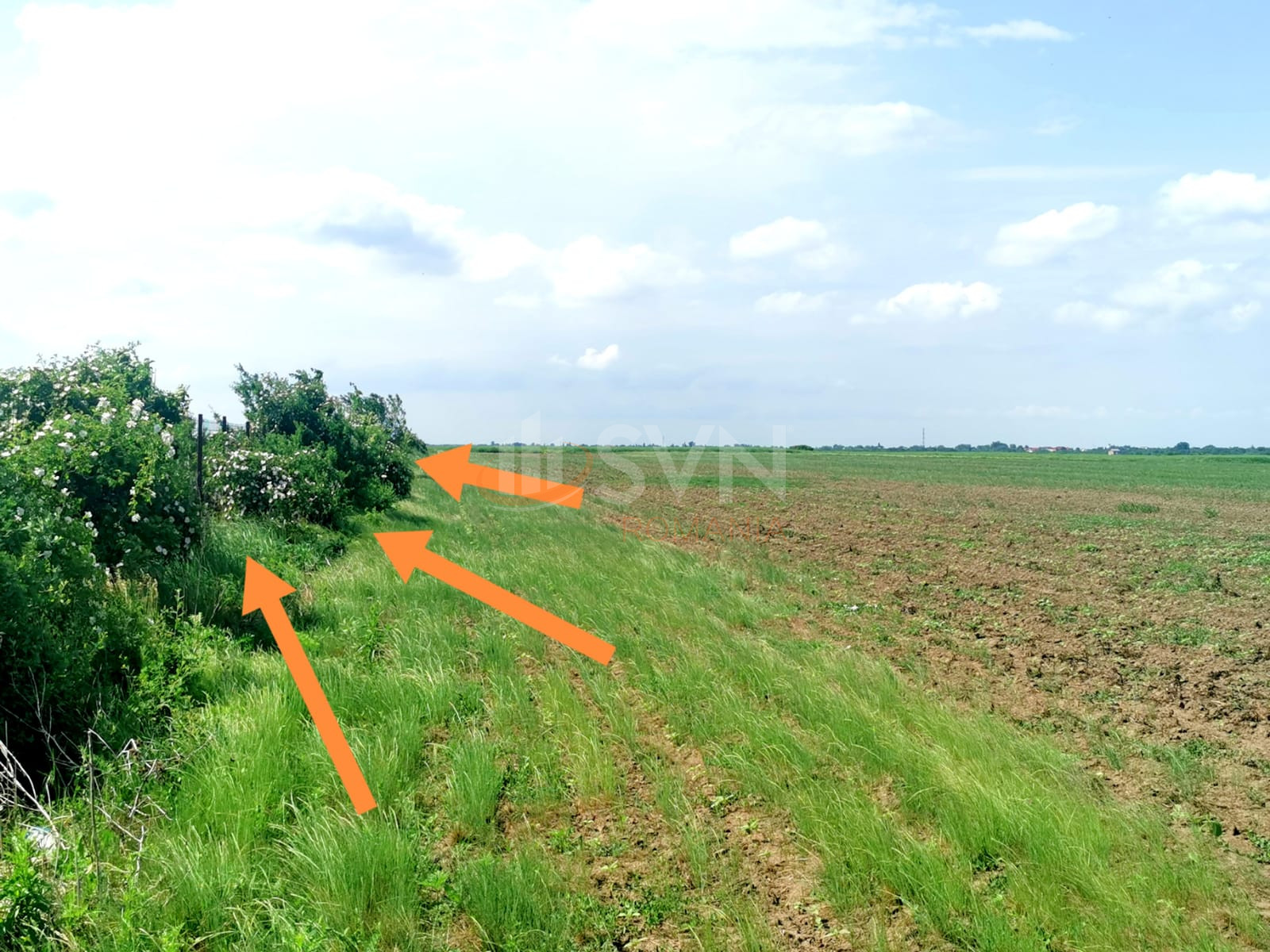 Teren 46618 mp Ilfov/Clinceni