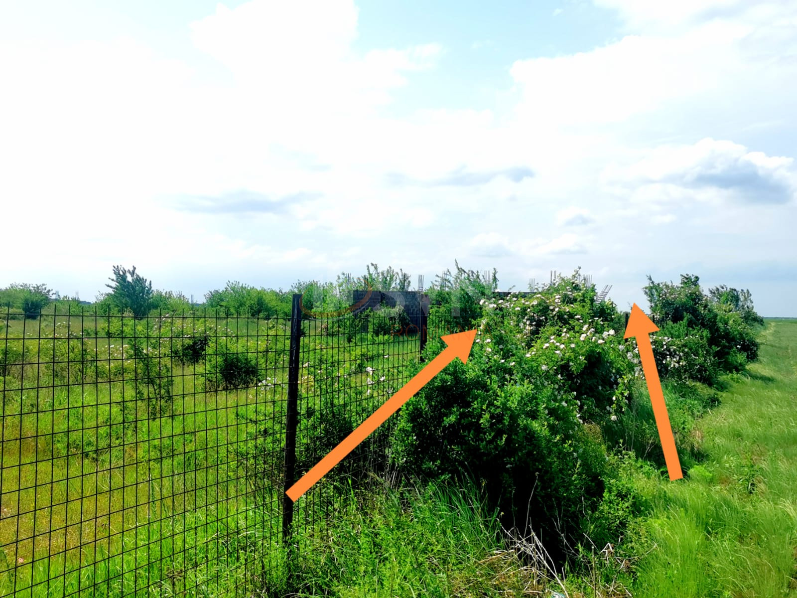 Teren 46618 mp Ilfov/Clinceni