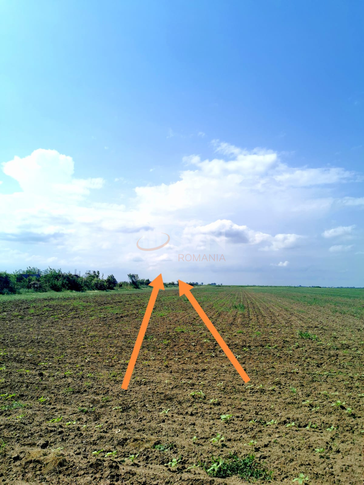 Teren 46618 mp Ilfov/Clinceni