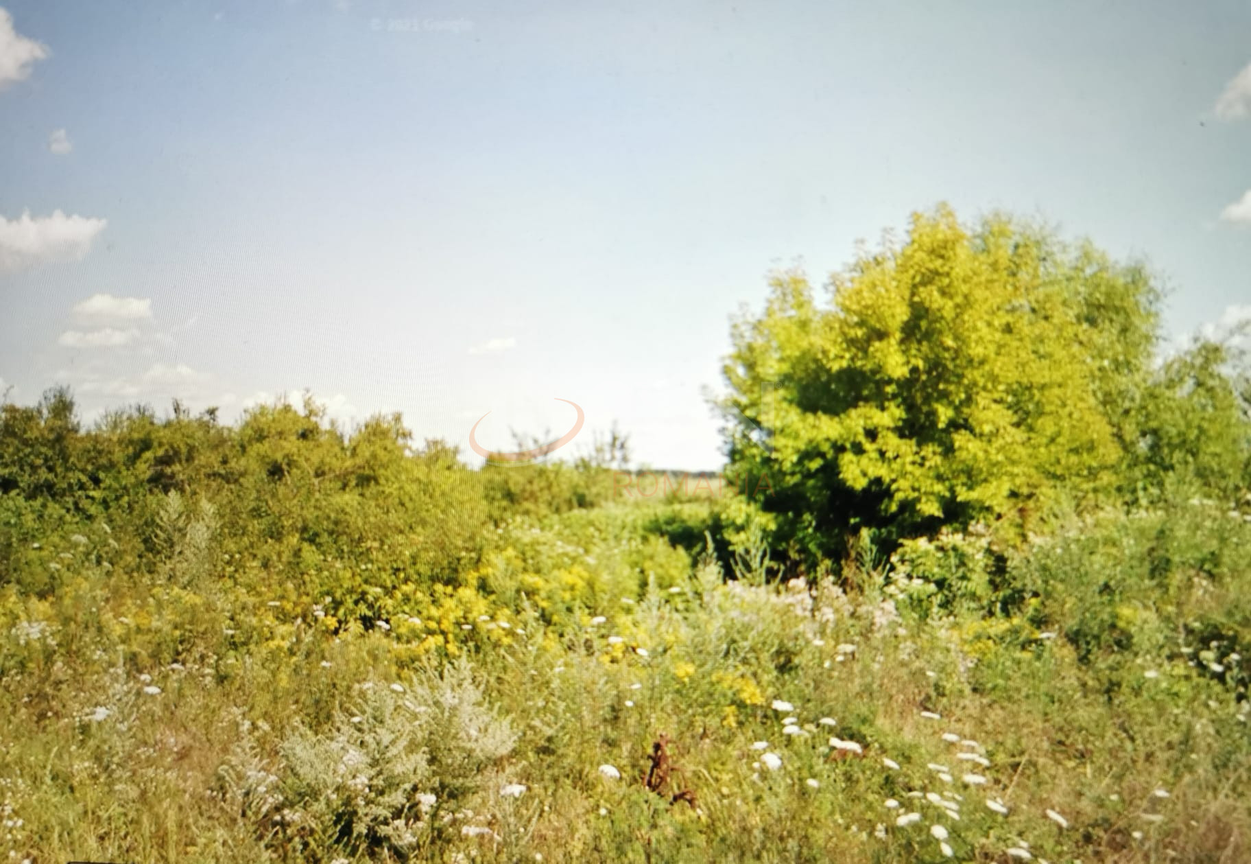 Teren 4996 mp Bucuresti/Sisesti