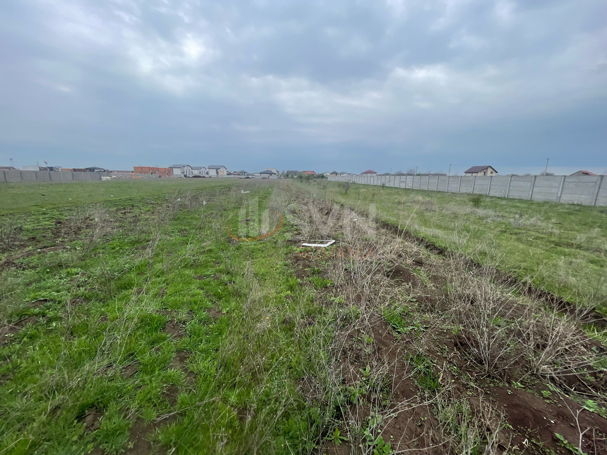 Teren 500 mp Ilfov/Clinceni