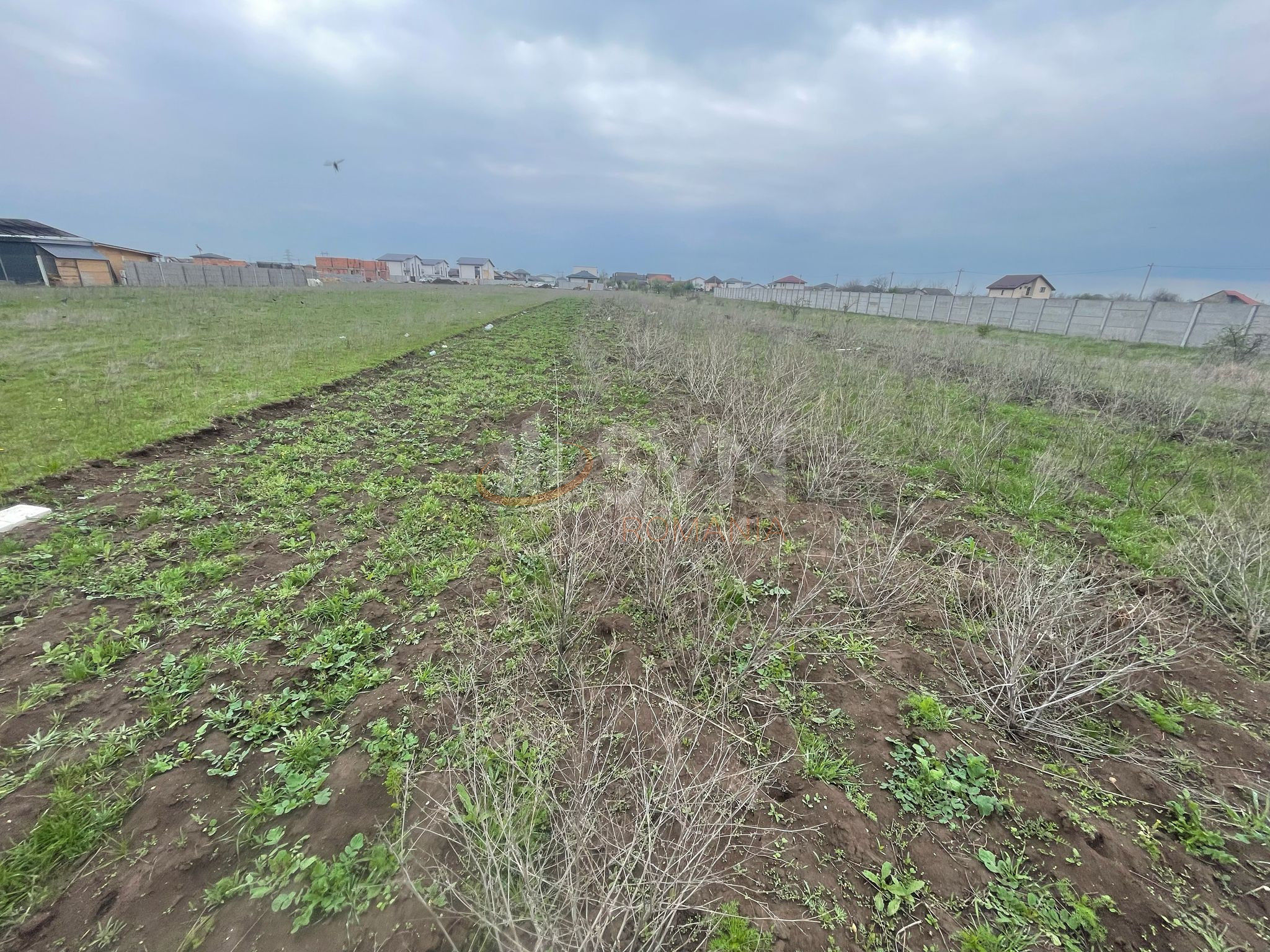 Teren 500 mp Ilfov/Clinceni