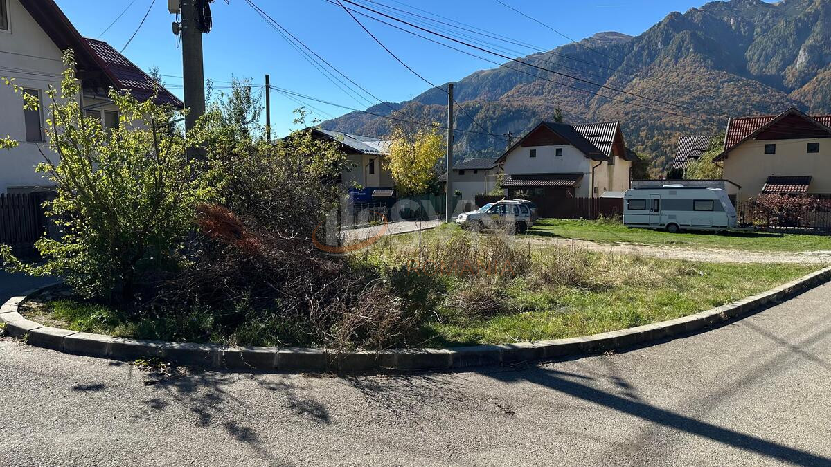 Teren 500 mp Prahova/Centru