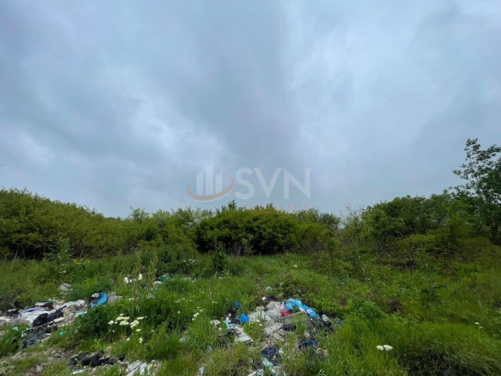 Teren 5000 mp Bucuresti/Sisesti