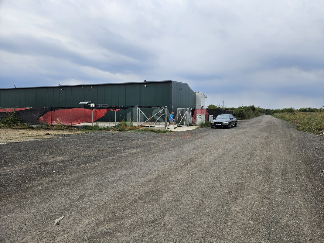 Teren 5017 mp Ilfov/Otopeni