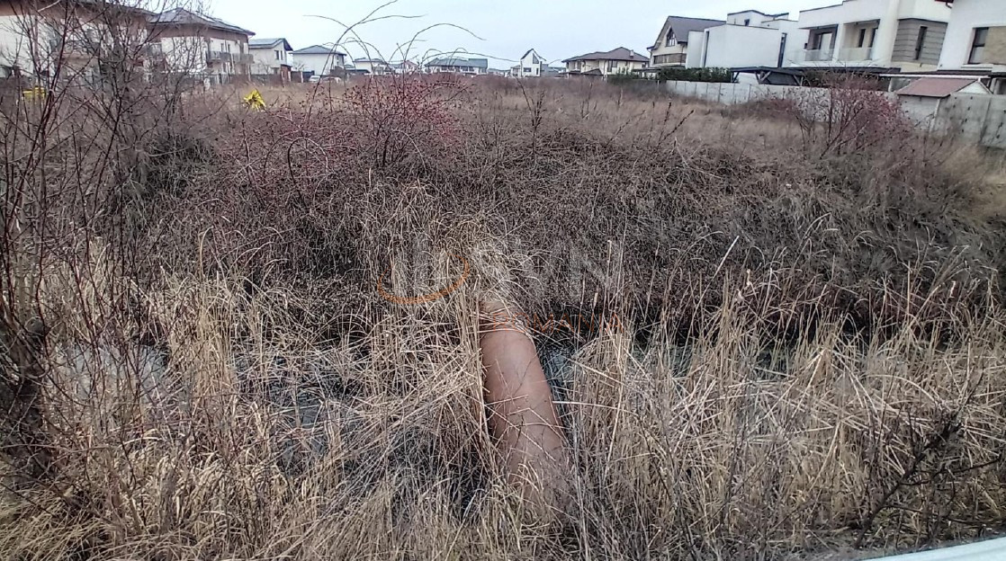 Teren 650 mp Ilfov/Otopeni