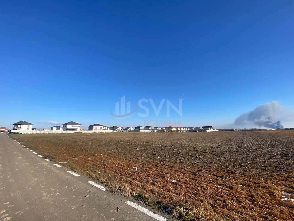 Teren 6500 mp Giurgiu/Centru