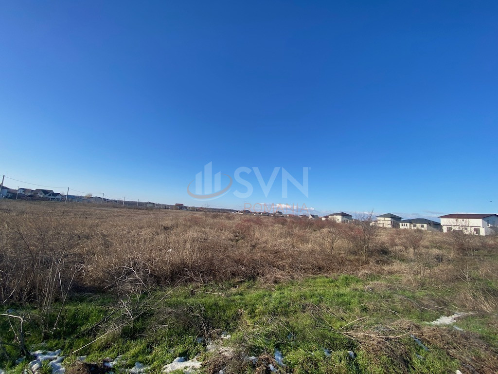 Teren 6500 mp Giurgiu/Centru