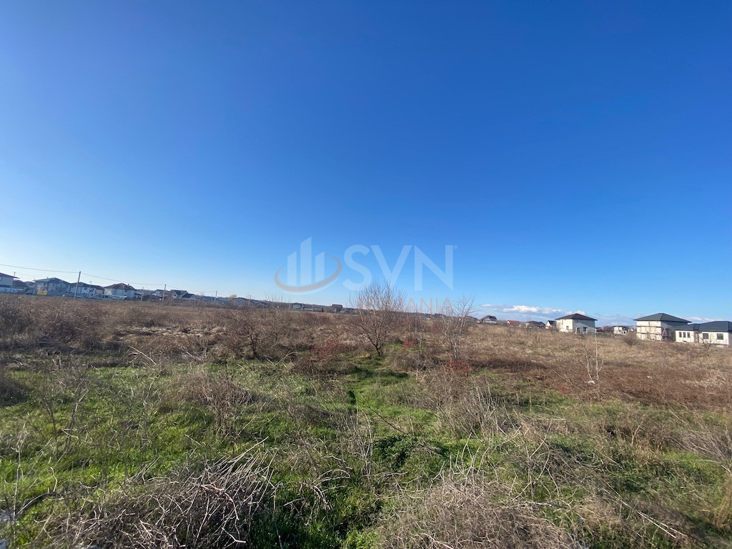 Teren 6500 mp Giurgiu/Centru