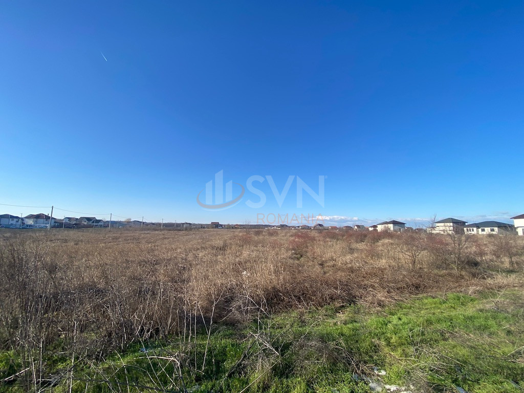 Teren 6500 mp Giurgiu/Centru